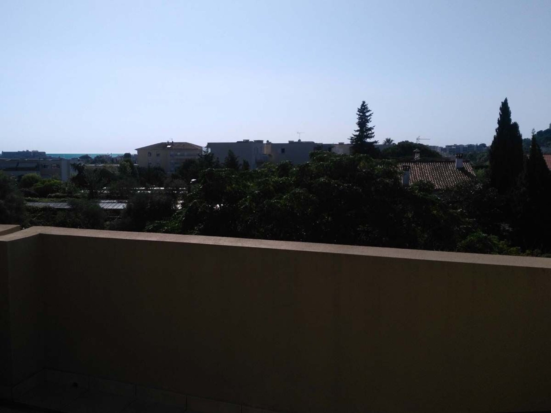 102227 - foto 3