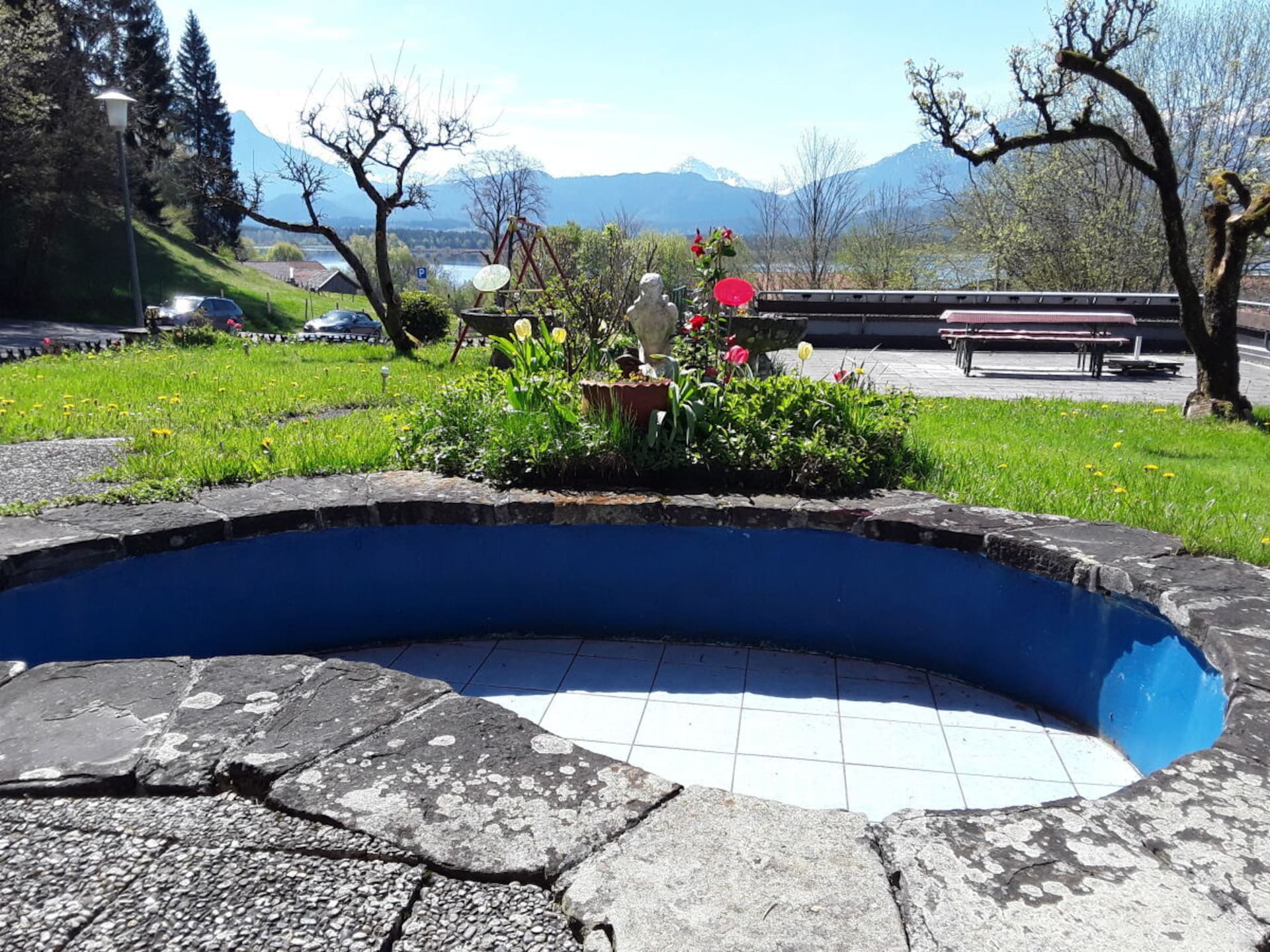 452296 - foto 8