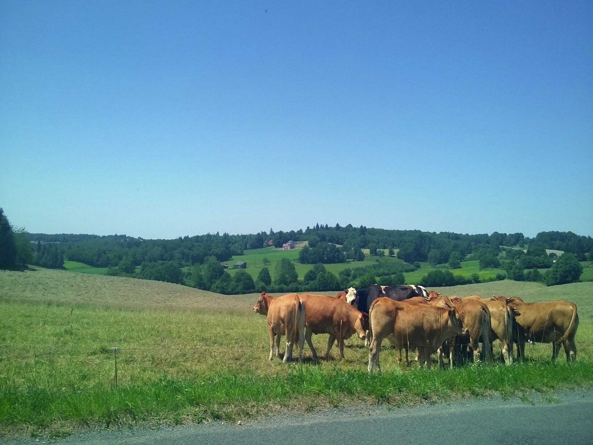 Knus landhuisje aan het meer in Savignac-Lédrier, Dordogne - foto 17