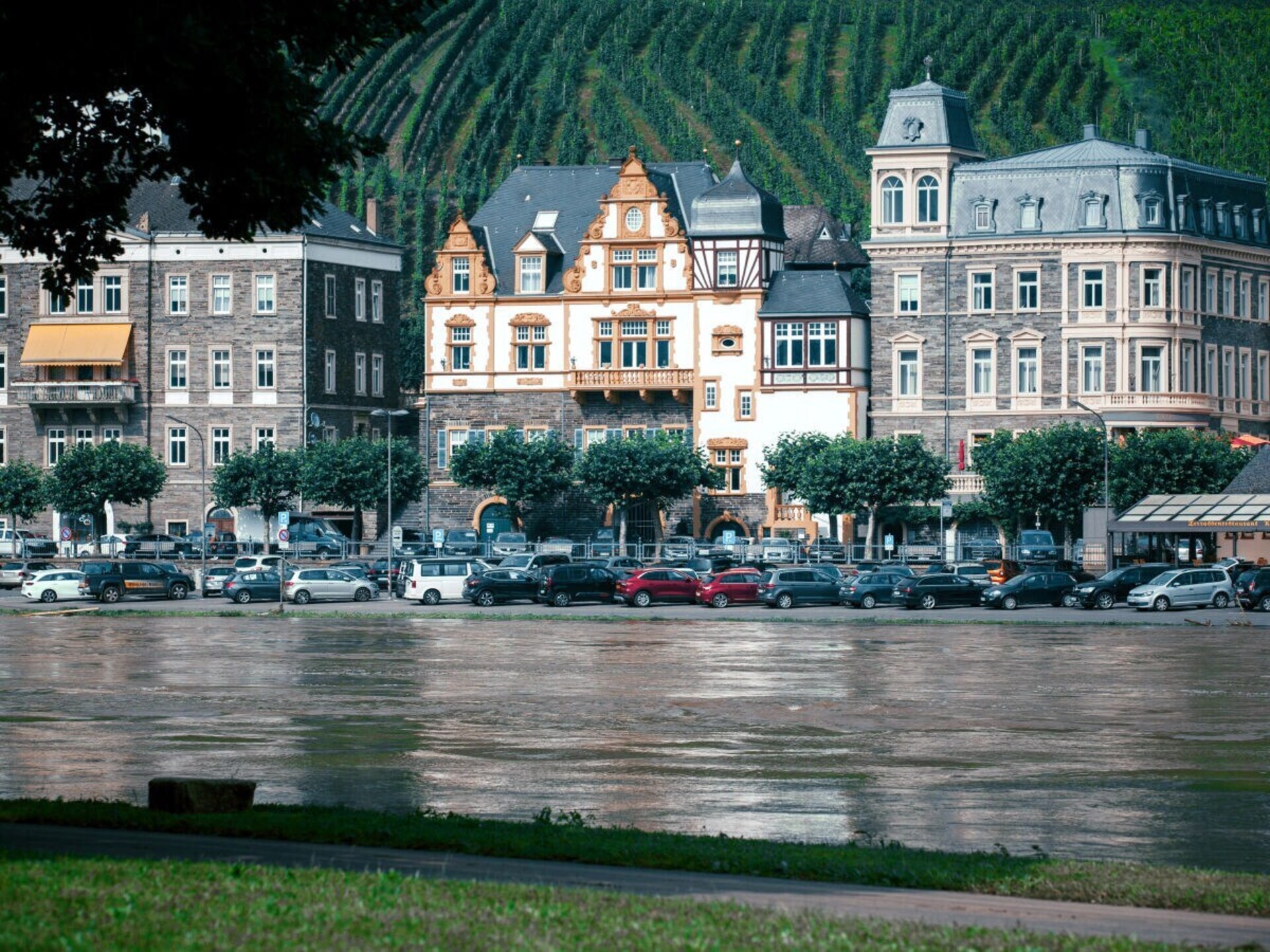 477482 - foto 19
