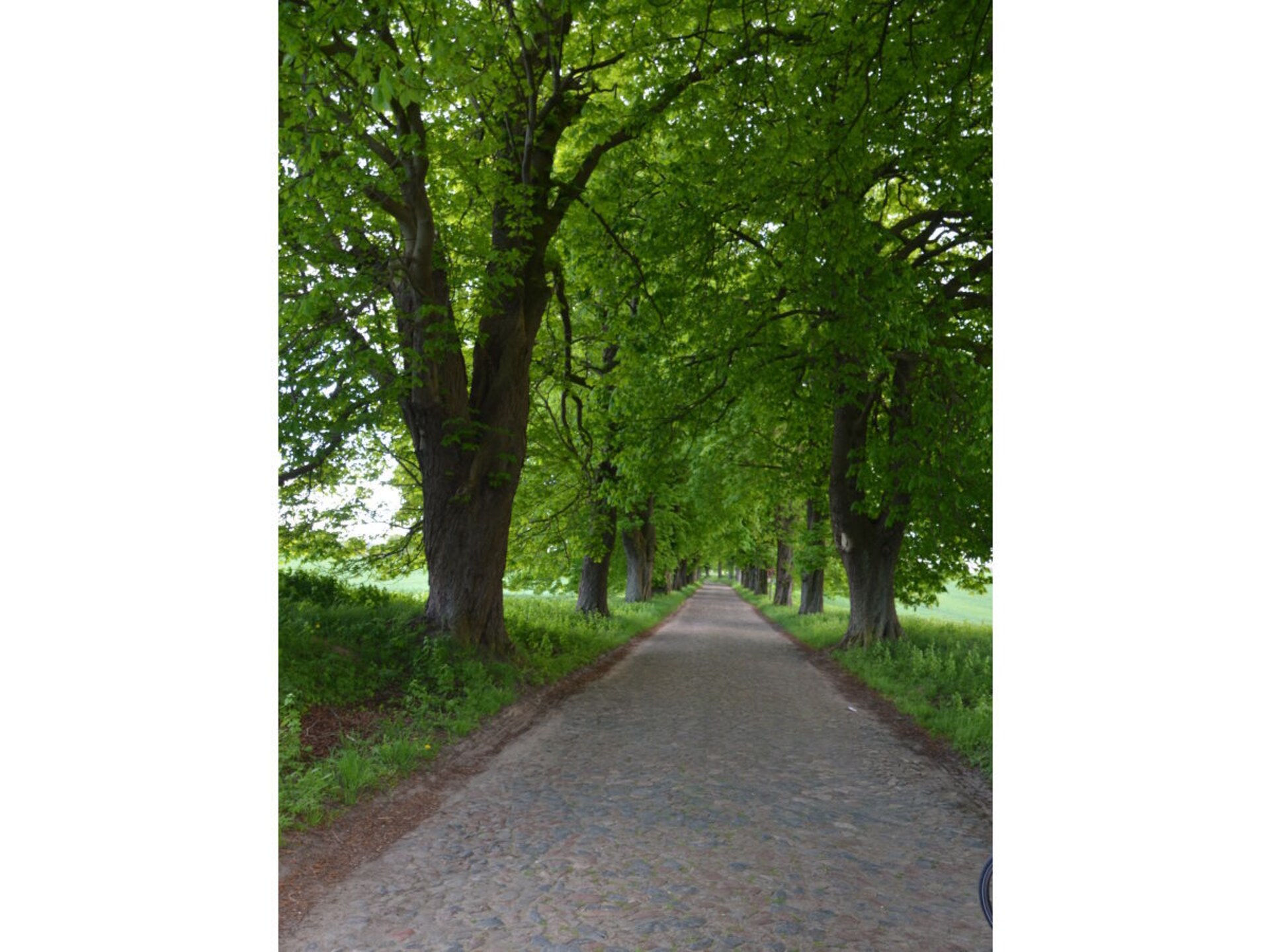95851 - foto 19