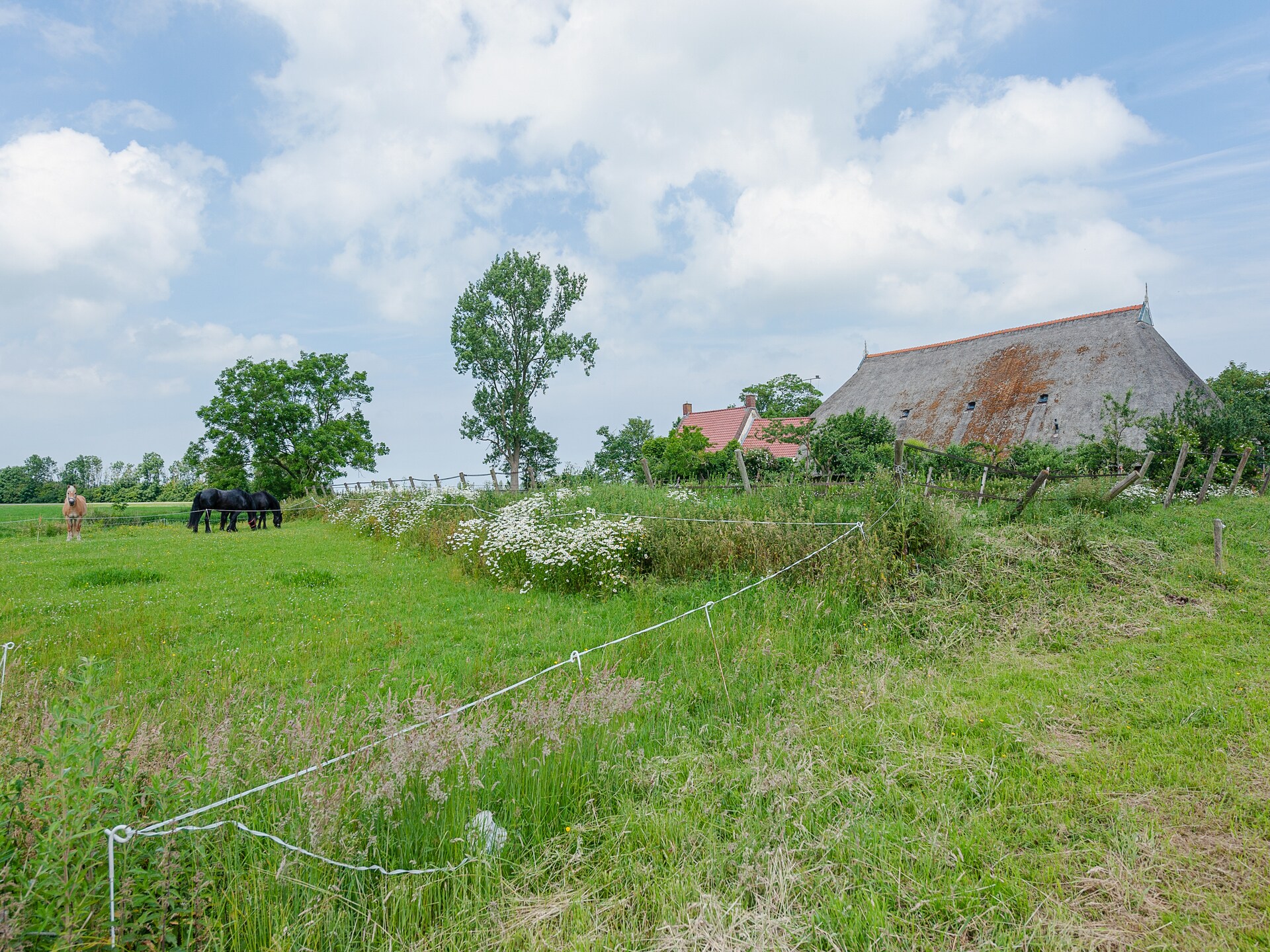 Lauwerspleats: Historisch appartement aan het Lauwersmeer in Friesland - foto 30