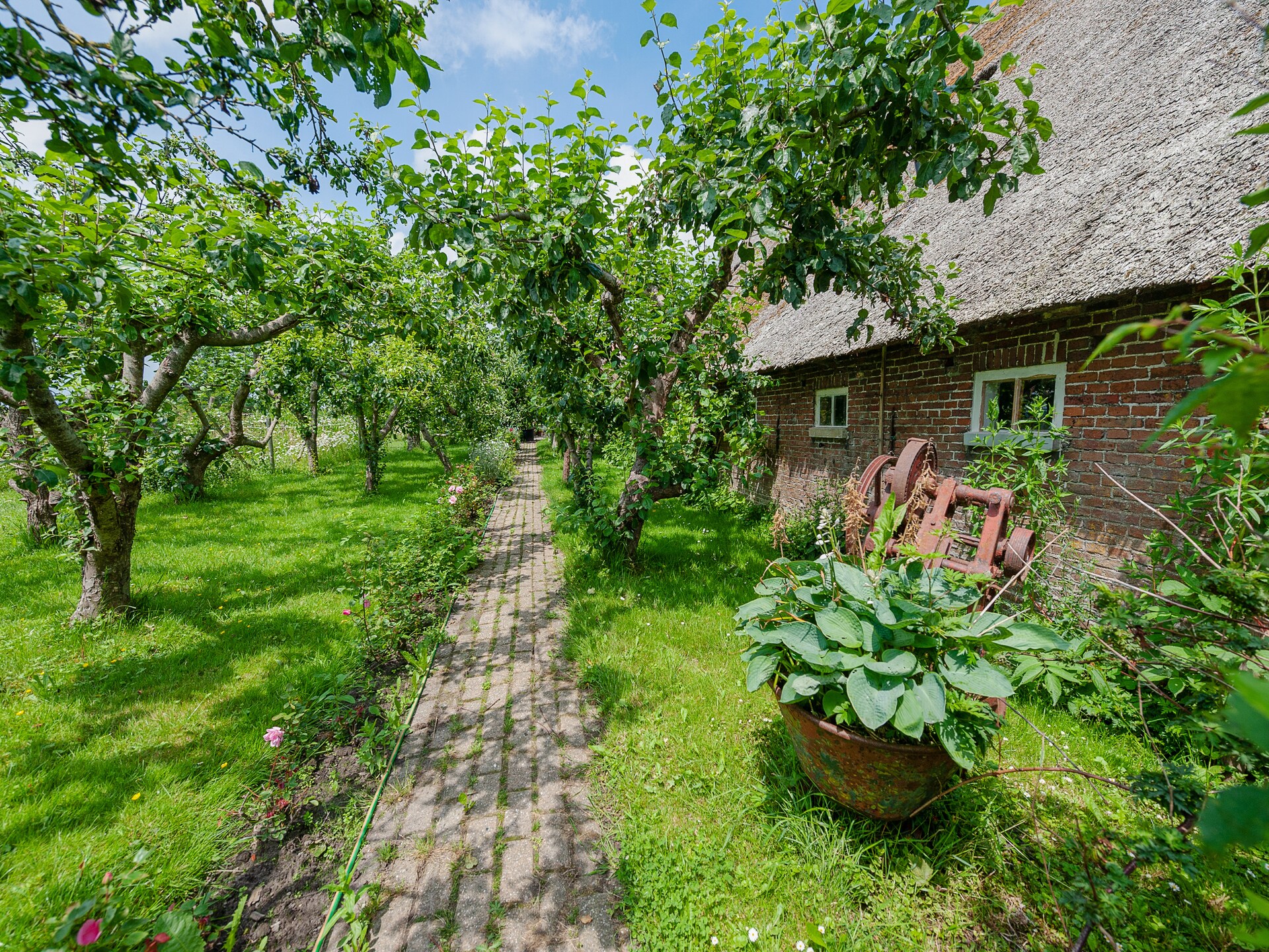 Lauwerspleats: Historisch appartement aan het Lauwersmeer in Friesland - foto 28