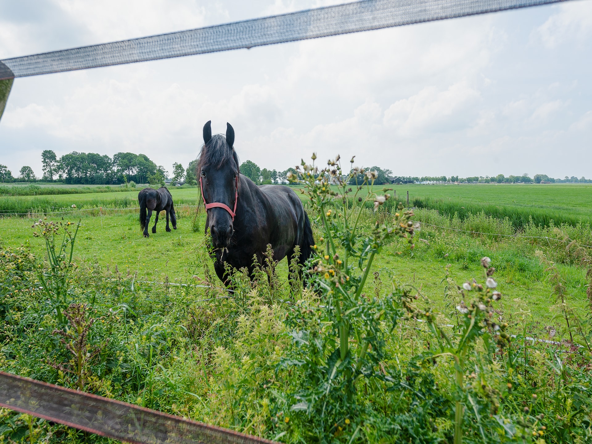 Lauwerspleats: Historisch appartement aan het Lauwersmeer in Friesland - foto 32