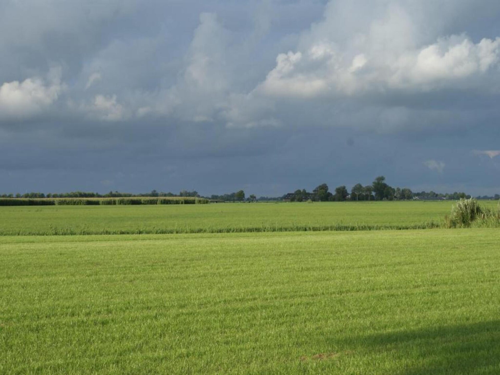 Lauwerspleats: Historisch appartement aan het Lauwersmeer in Friesland - foto 37
