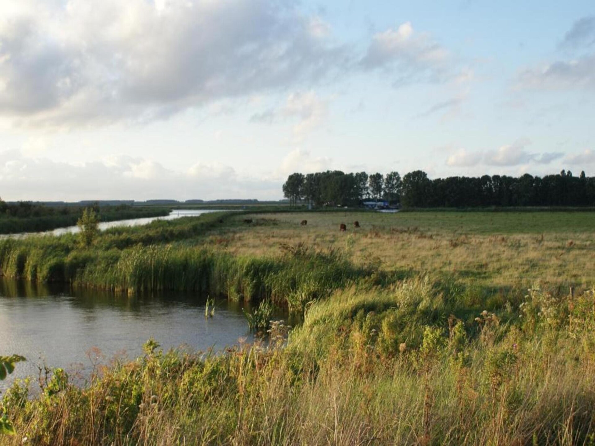 Lauwerspleats: Historisch appartement aan het Lauwersmeer in Friesland - foto 38