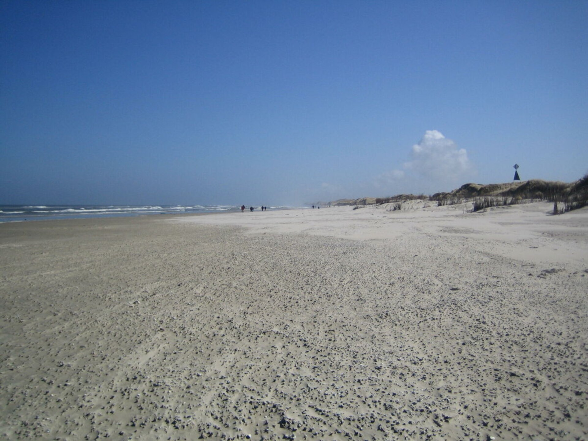 379742 - foto 18
