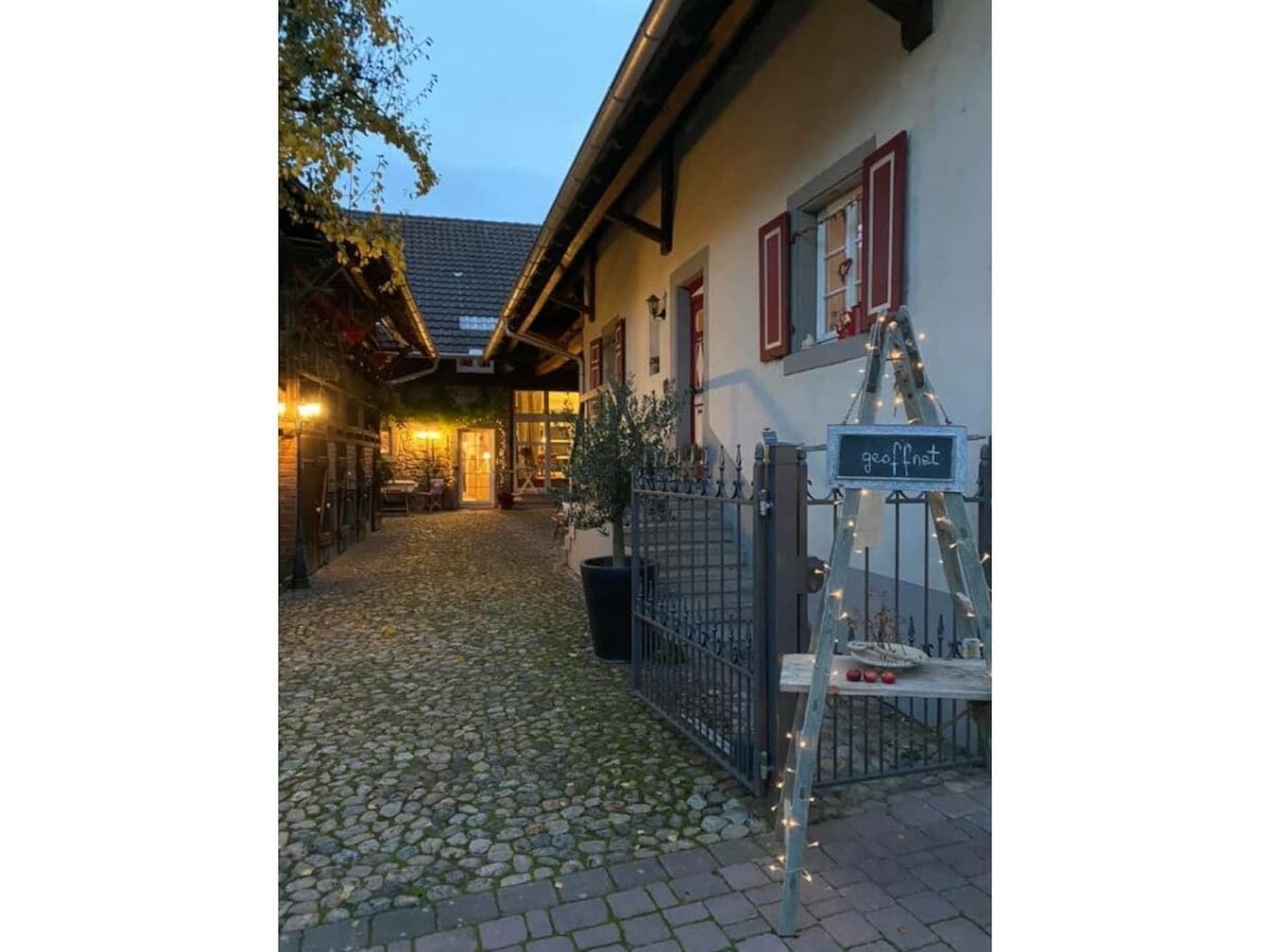 48990 - foto 2