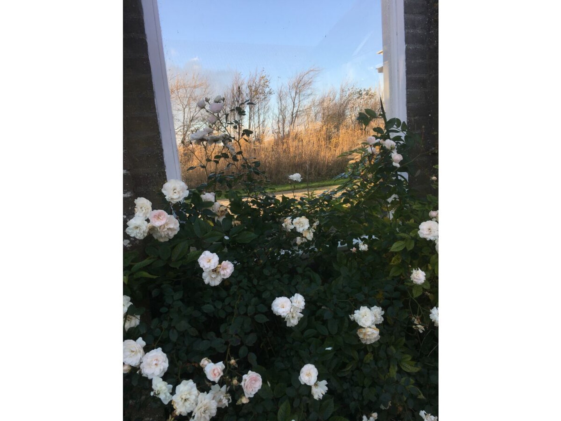 373235 - foto 5