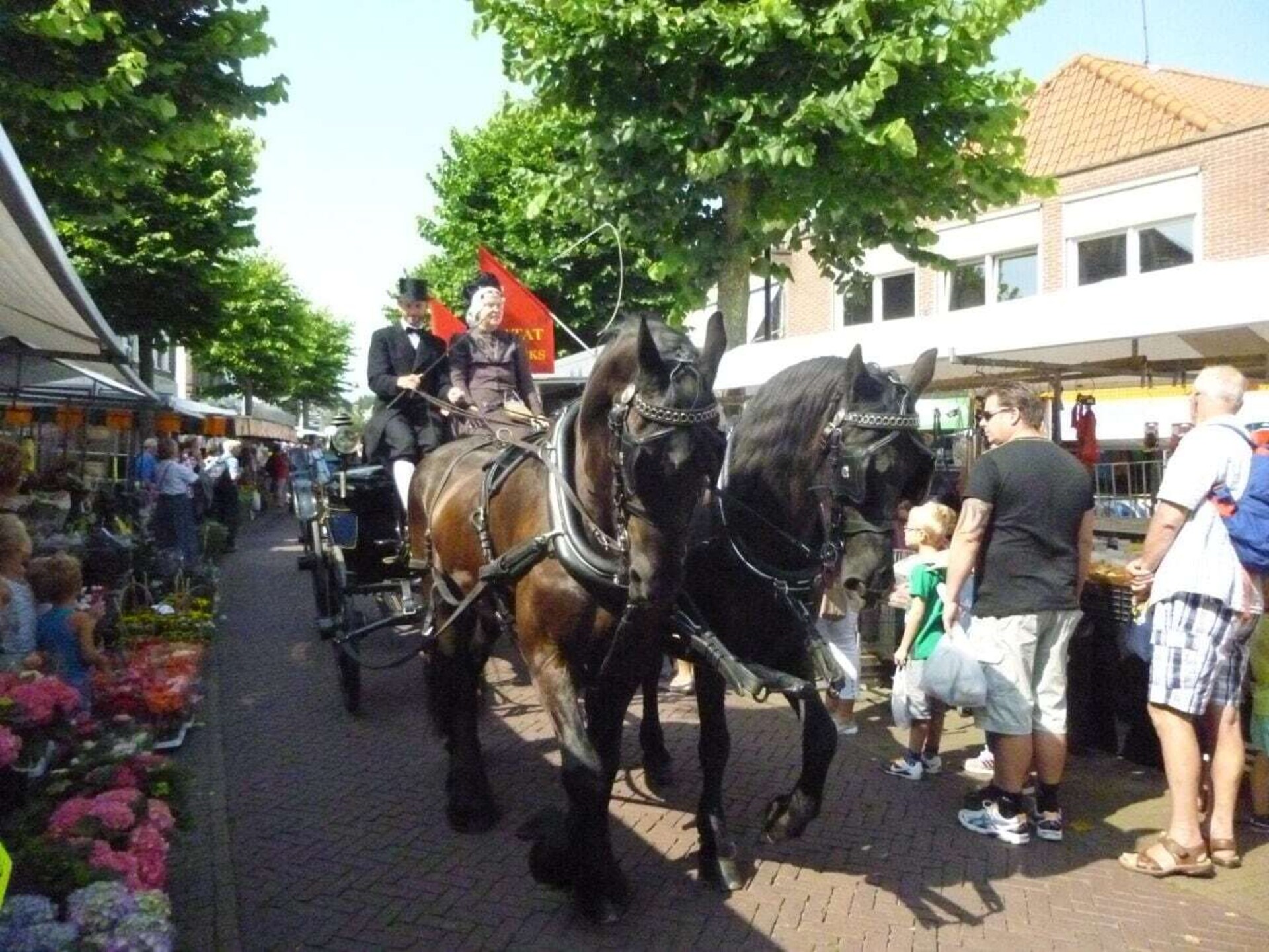 373235 - foto 38