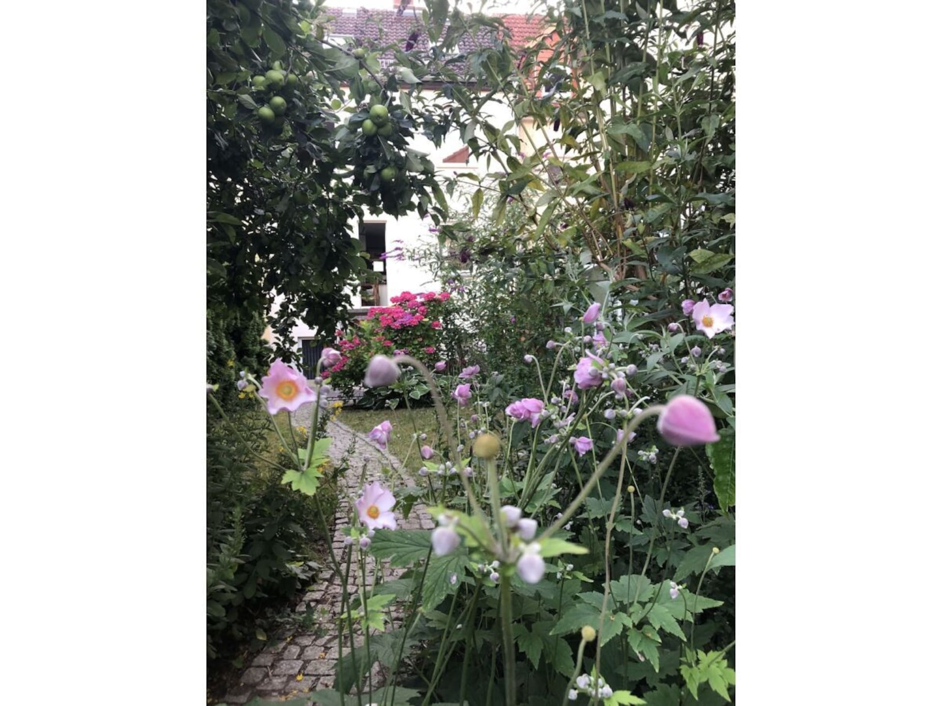 79988 - foto 10