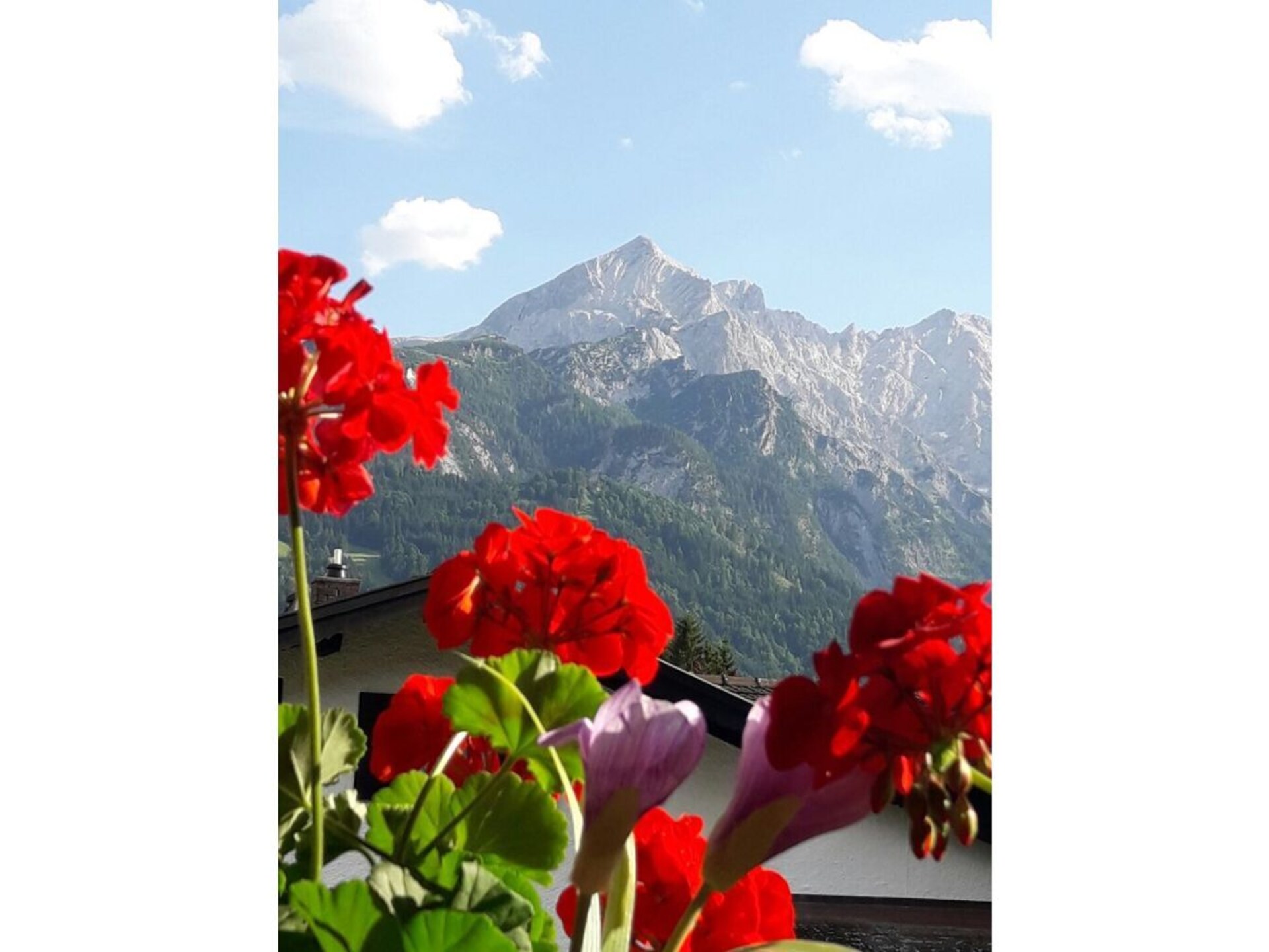 2362 - foto 3