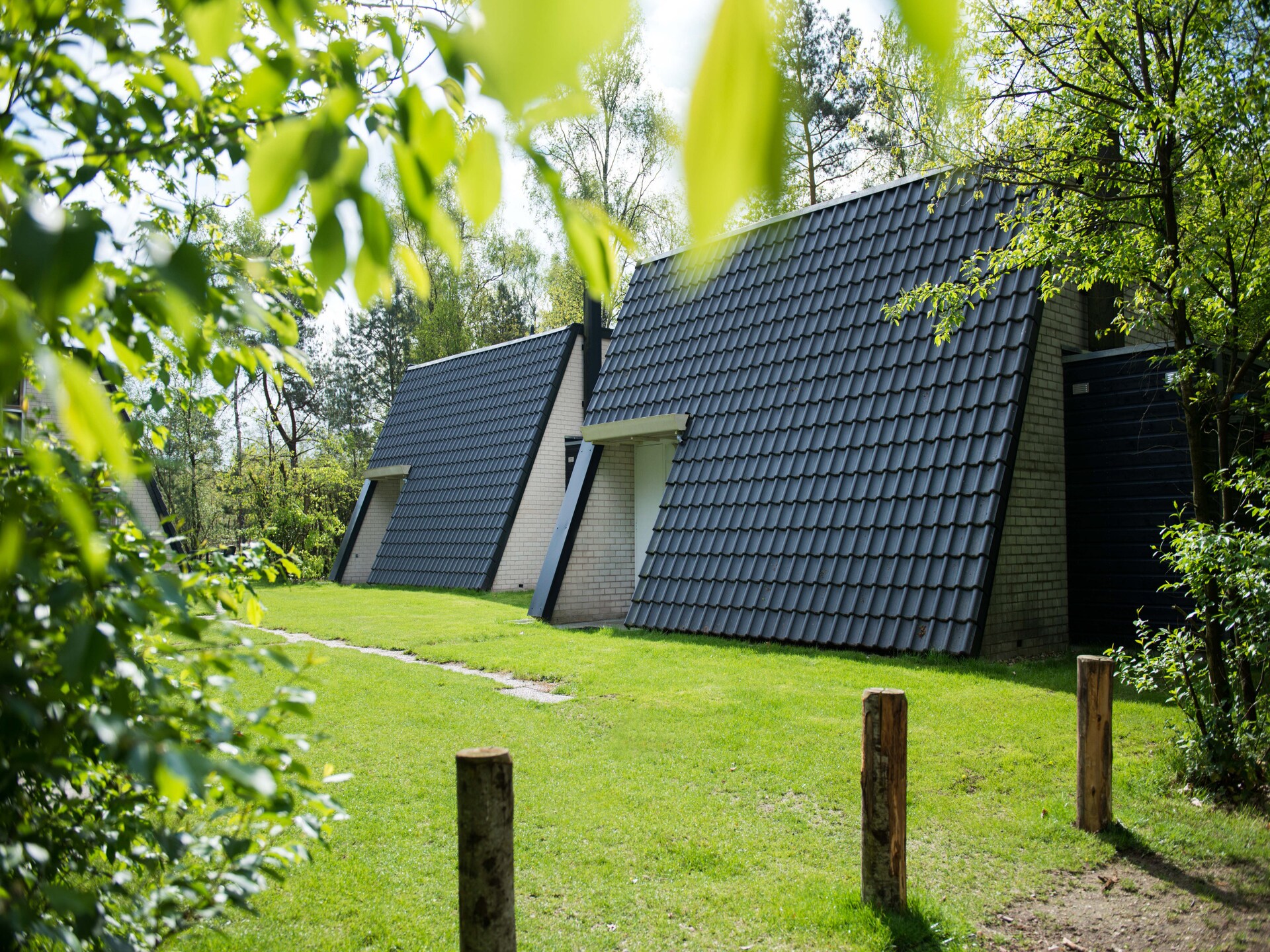 Charmante vrijstaande bosbungalow voor 4 personen op Bungalowpark Hoenderloo - foto 7