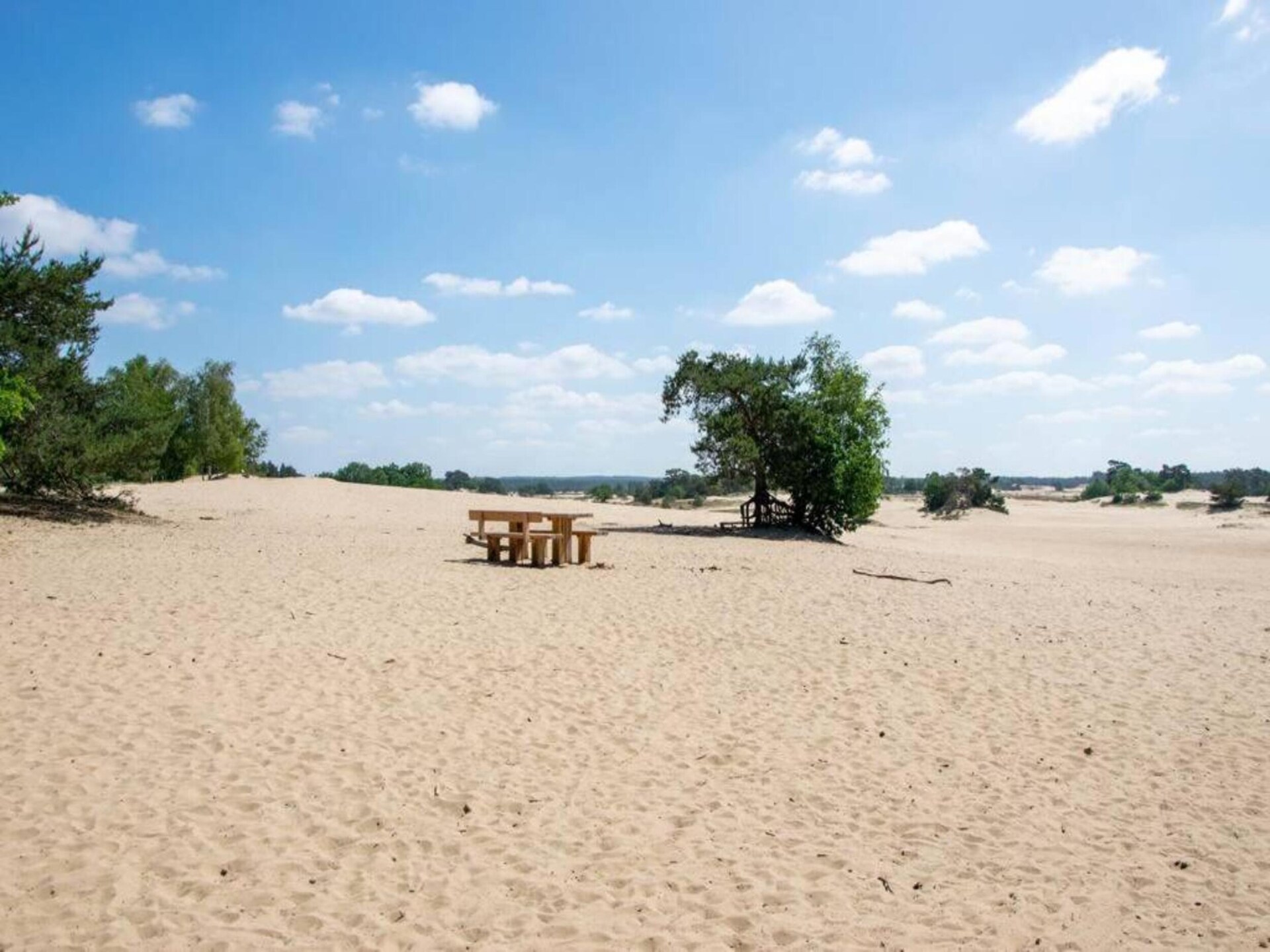 Charmante vrijstaande bosbungalow voor 4 personen op Bungalowpark Hoenderloo - foto 27