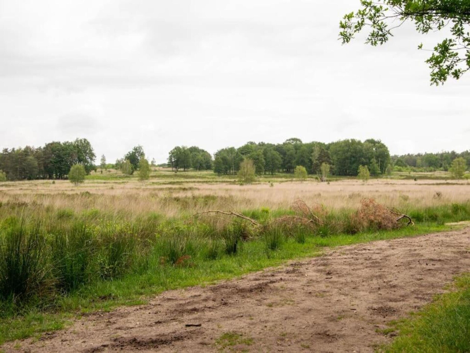 Charmante vrijstaande bosbungalow voor 4 personen op Bungalowpark Hoenderloo - foto 34