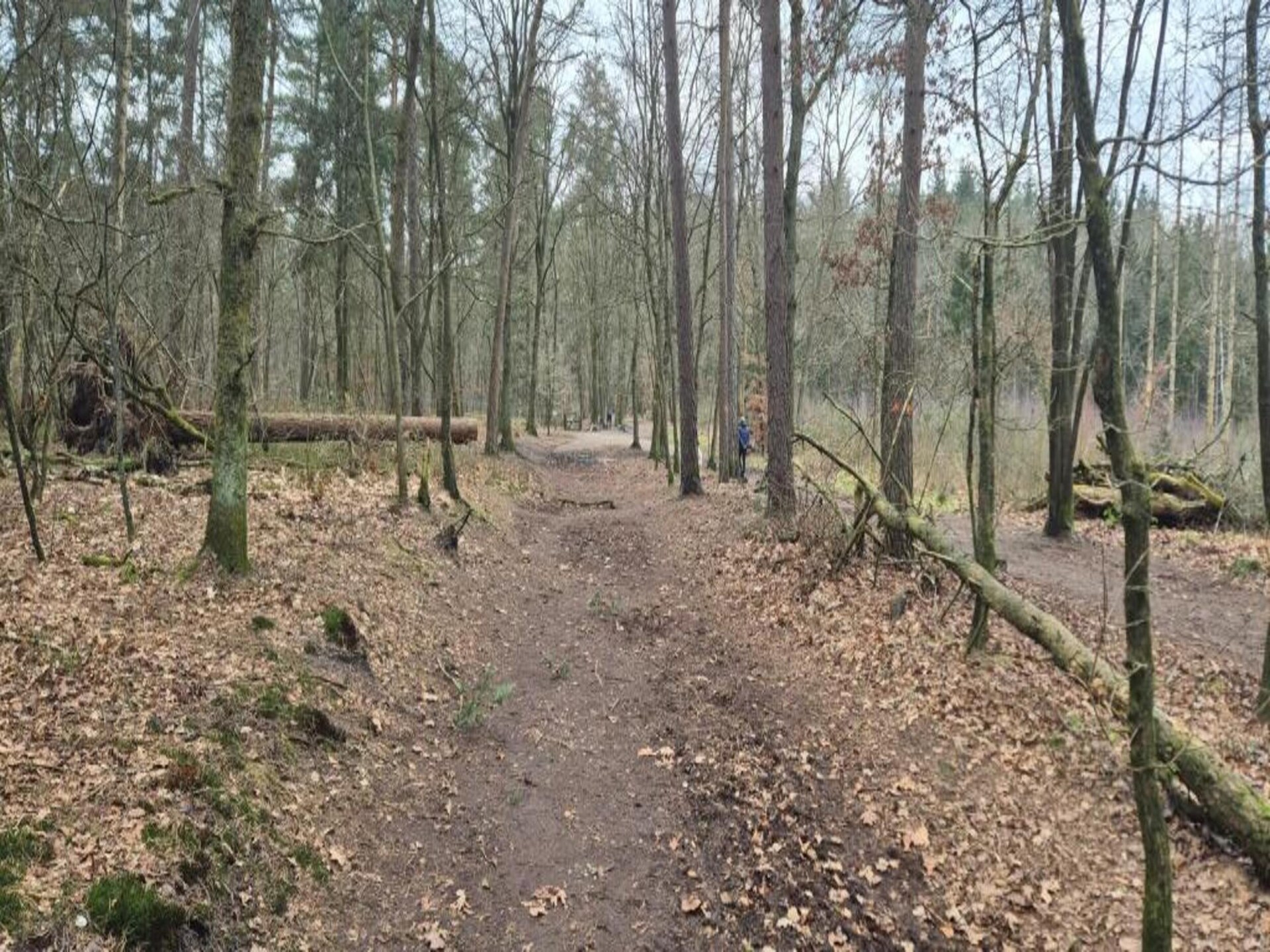 Charmante vrijstaande bosbungalow voor 4 personen op Bungalowpark Hoenderloo - foto 39