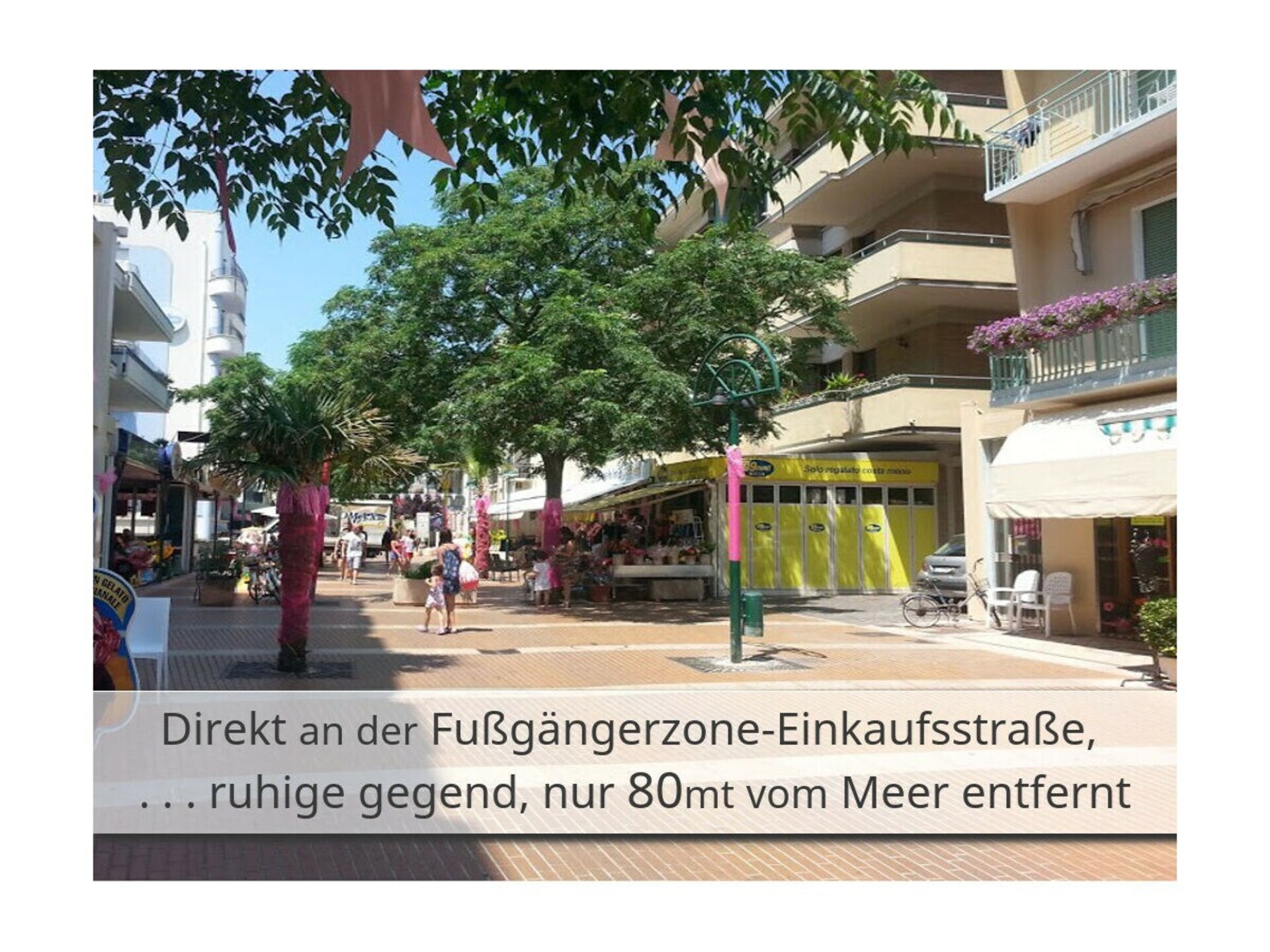 267403 - foto 4