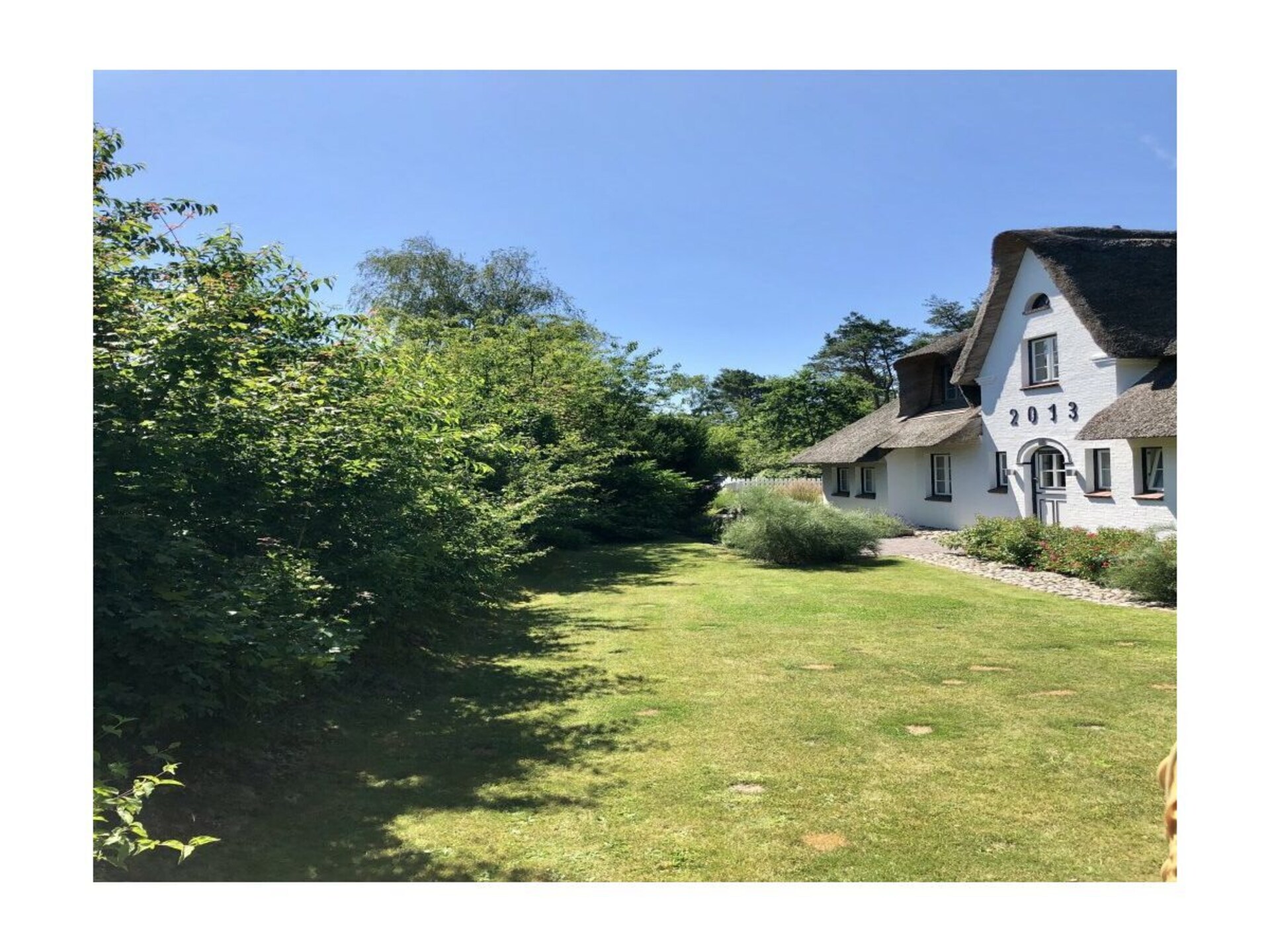 76177 - foto 6
