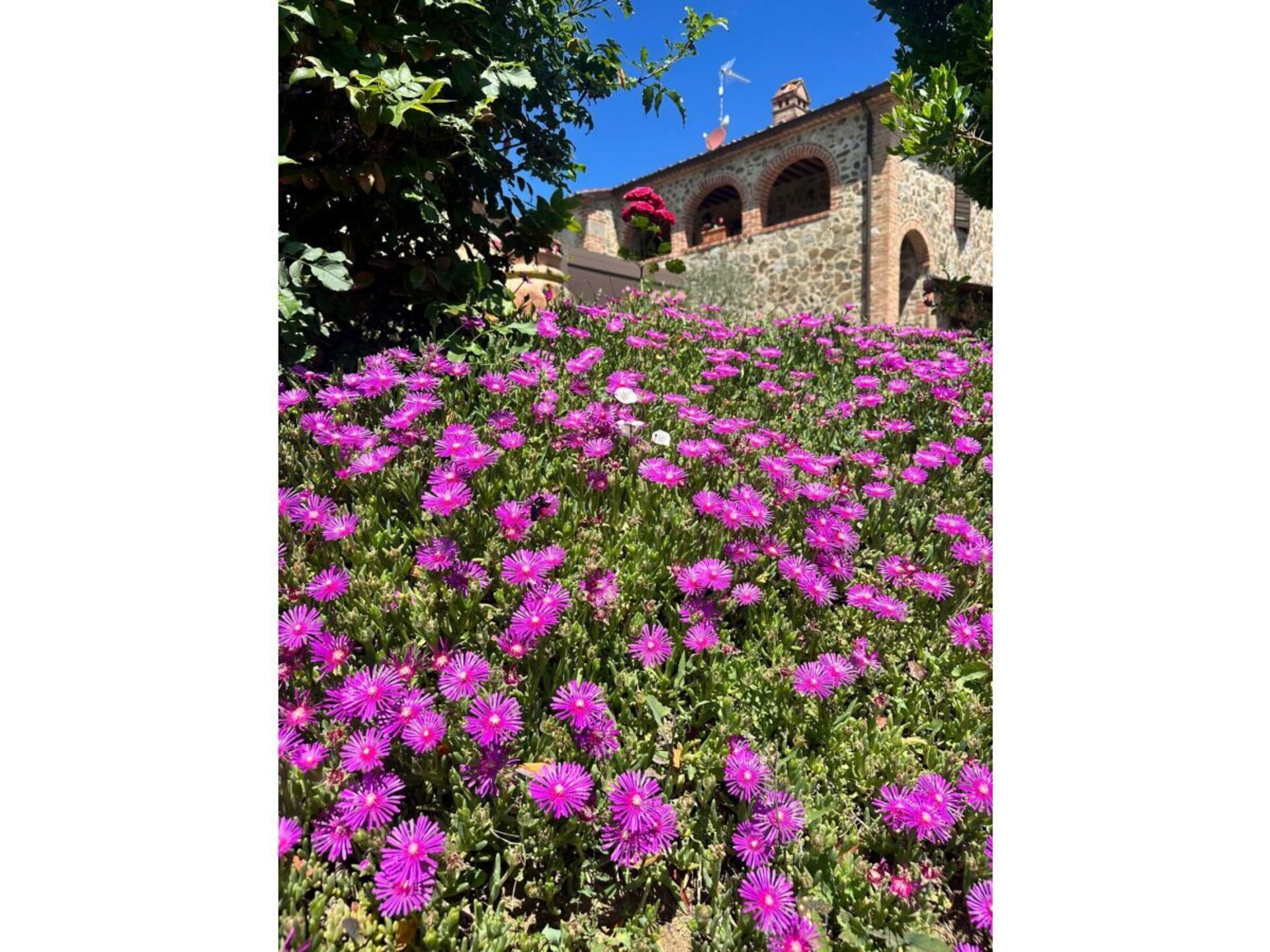 545538 - foto 19