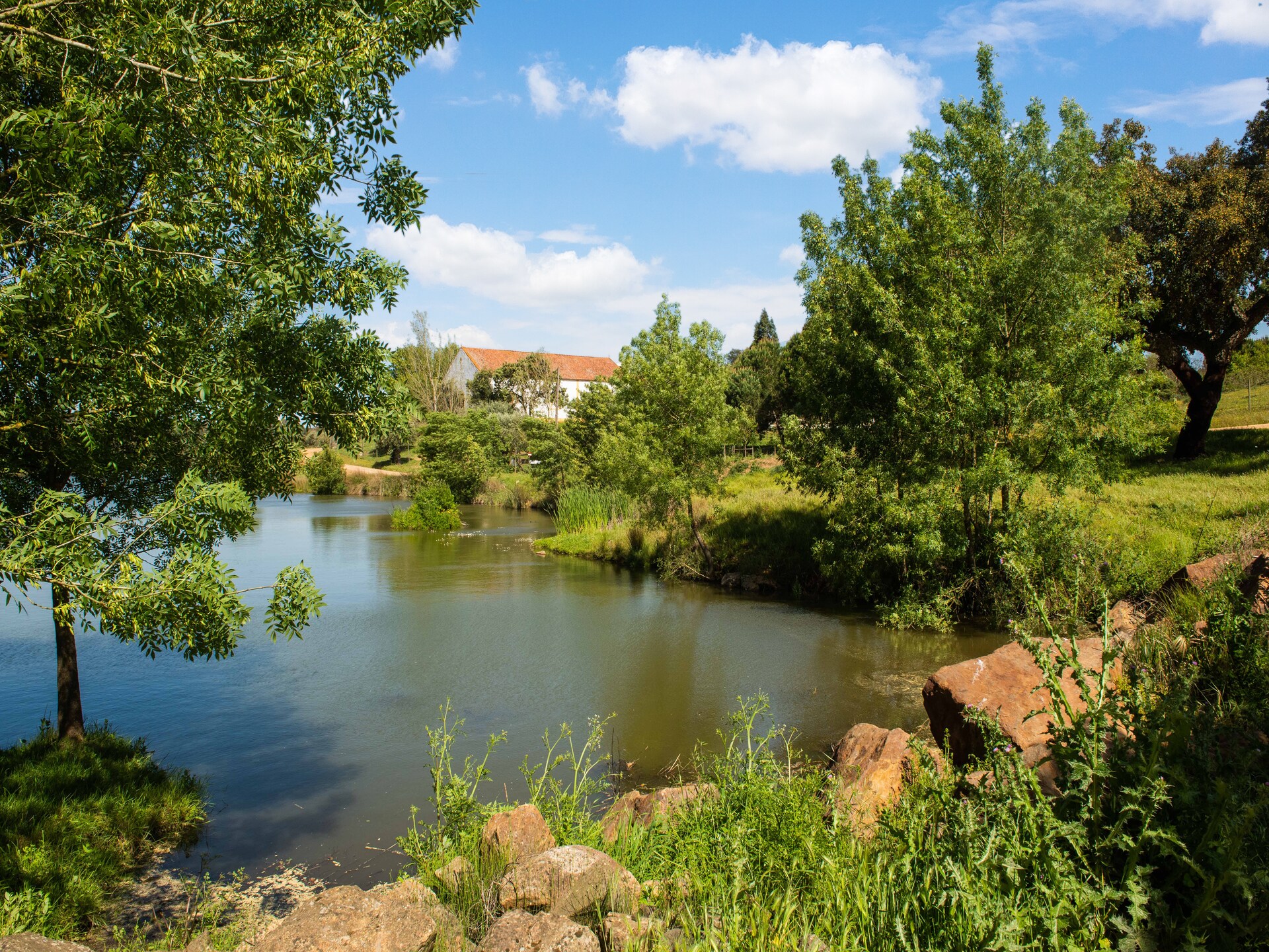Casa do Forno de Pão: Luxe landhuis in de bossen van Alentejo - foto 9