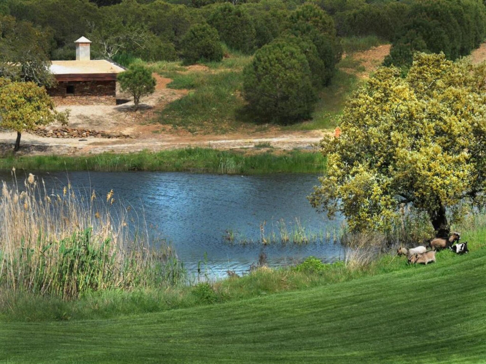 Casa do Forno de Pão: Luxe landhuis in de bossen van Alentejo - foto 38