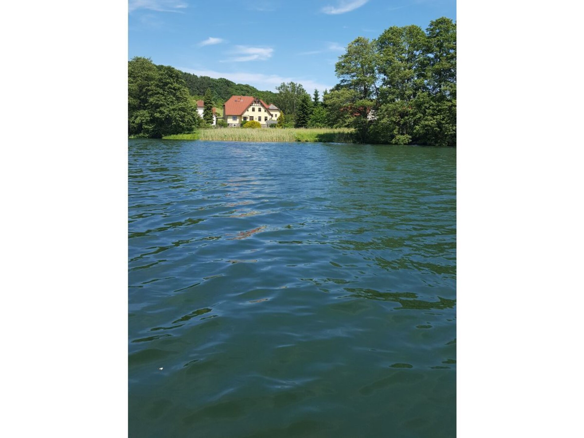 181453 - foto 4