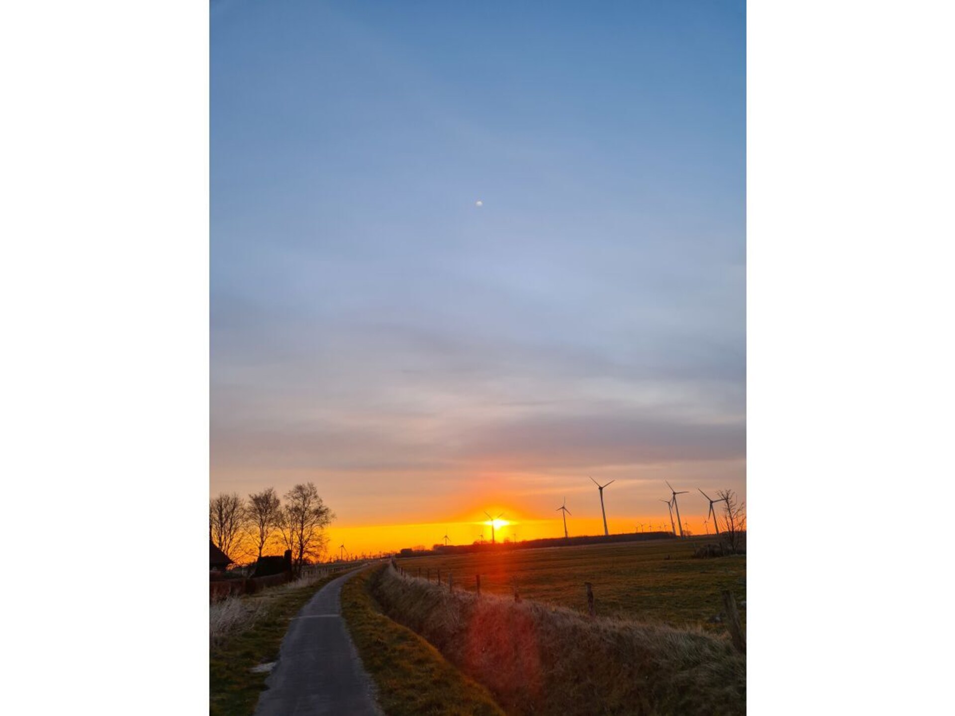 387019 - foto 20