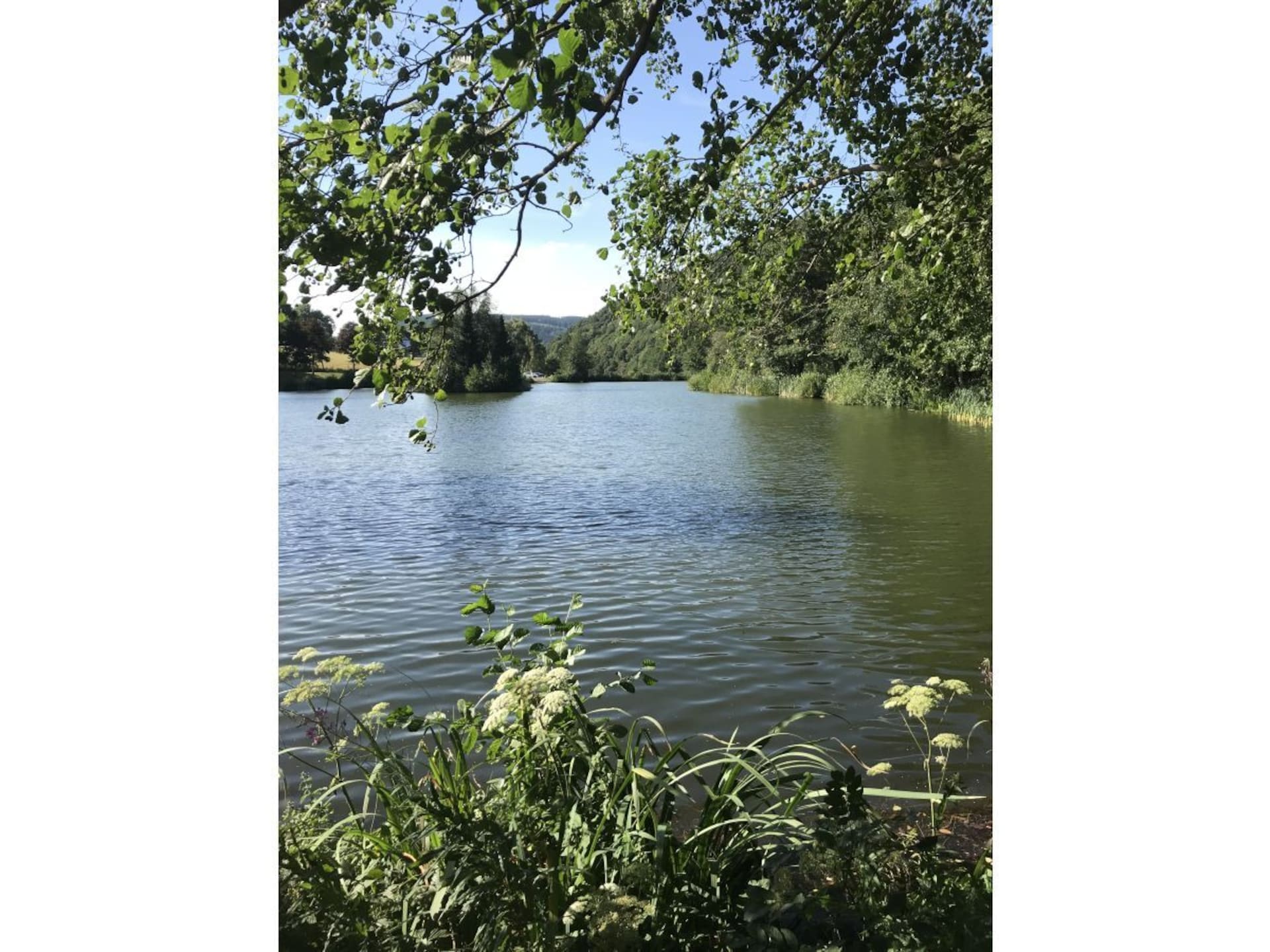32710 - foto 17