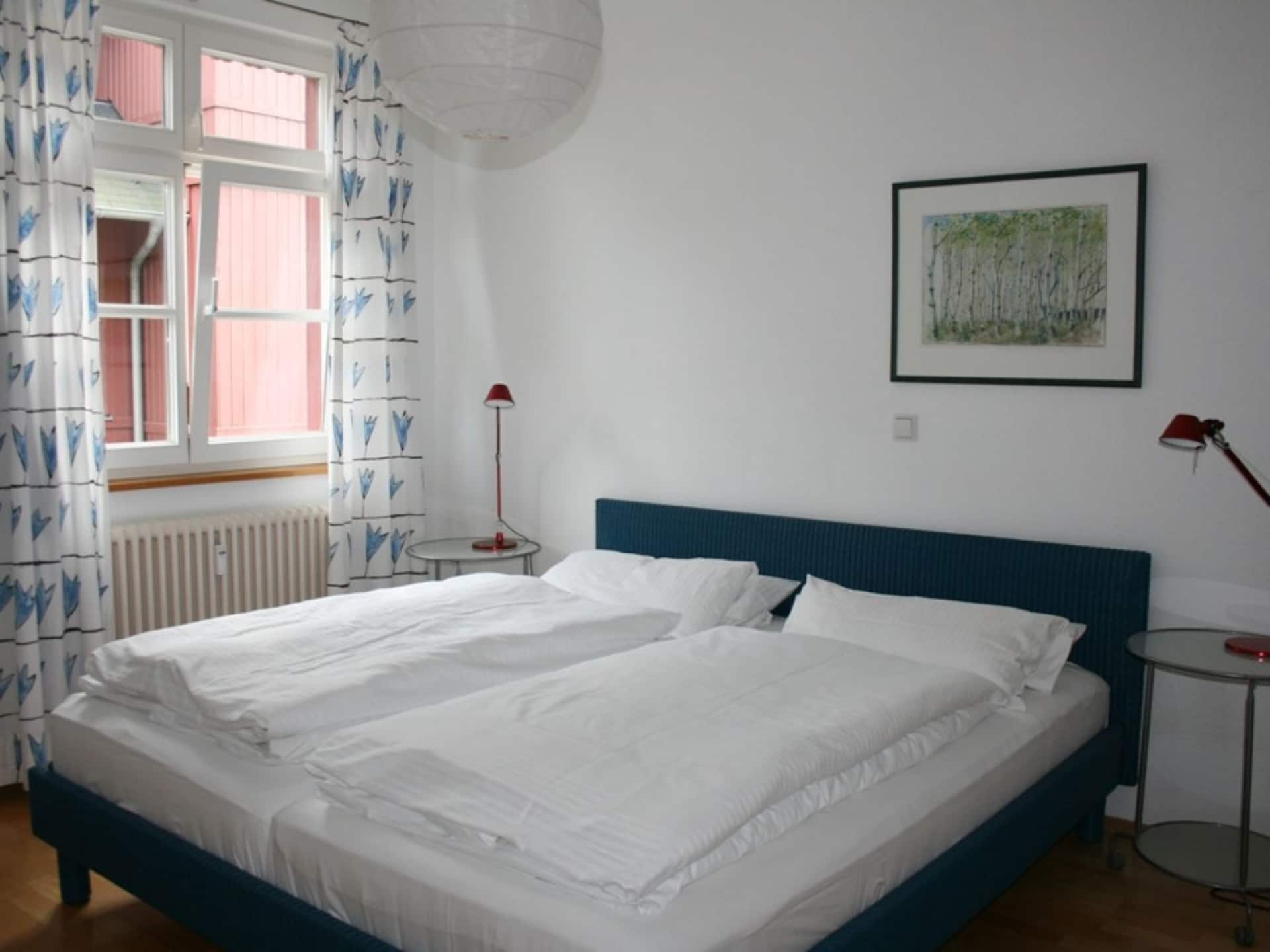 216886 - foto 12