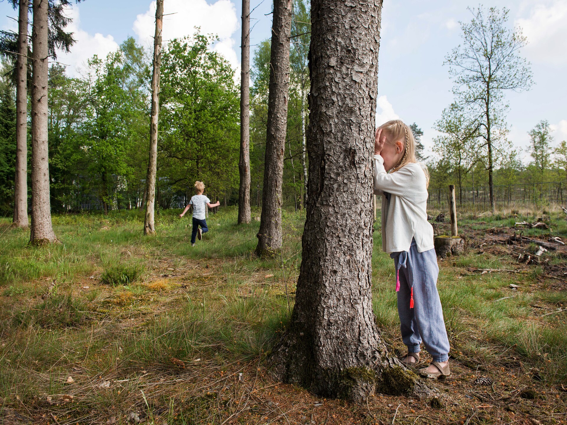 Vrijstaande bungalow voor 7 personen op de Veluwe met tuin en parkfaciliteiten - foto 23
