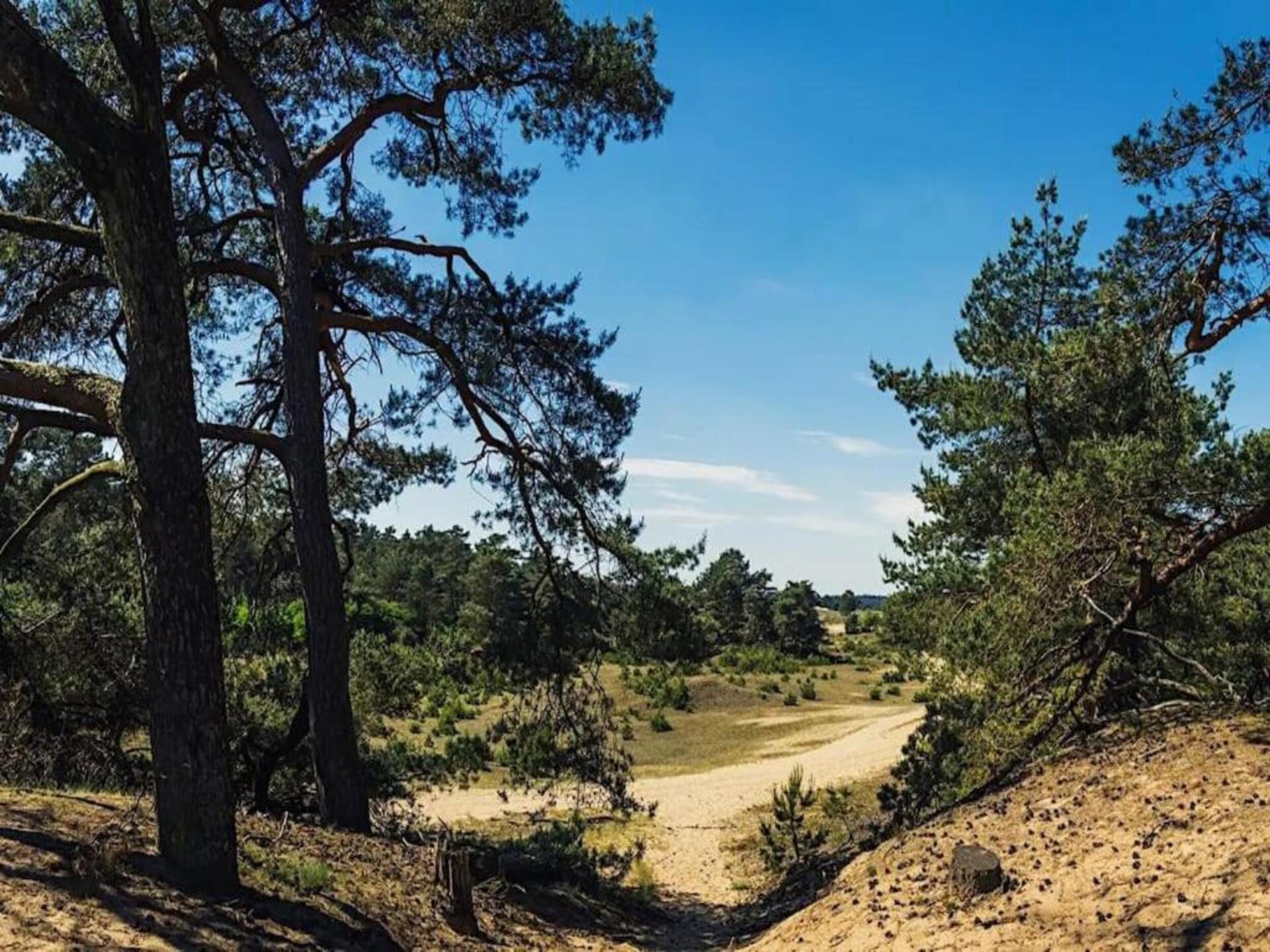 Vrijstaande bungalow voor 7 personen op de Veluwe met tuin en parkfaciliteiten - foto 30