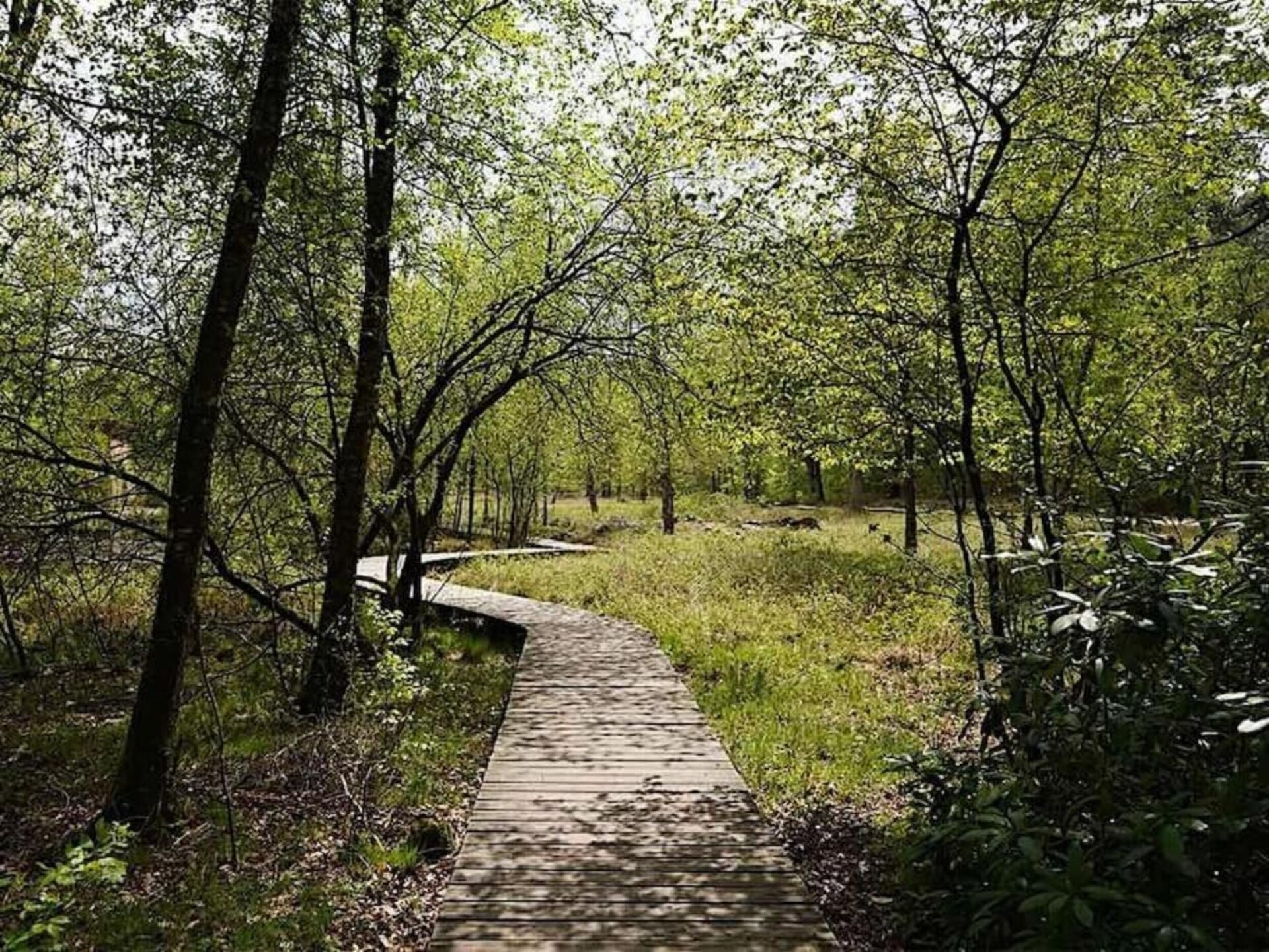 Vrijstaande bungalow voor 7 personen op de Veluwe met tuin en parkfaciliteiten - foto 37