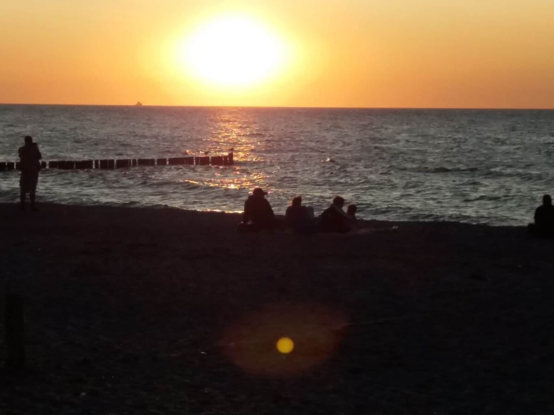 291920 - foto 18