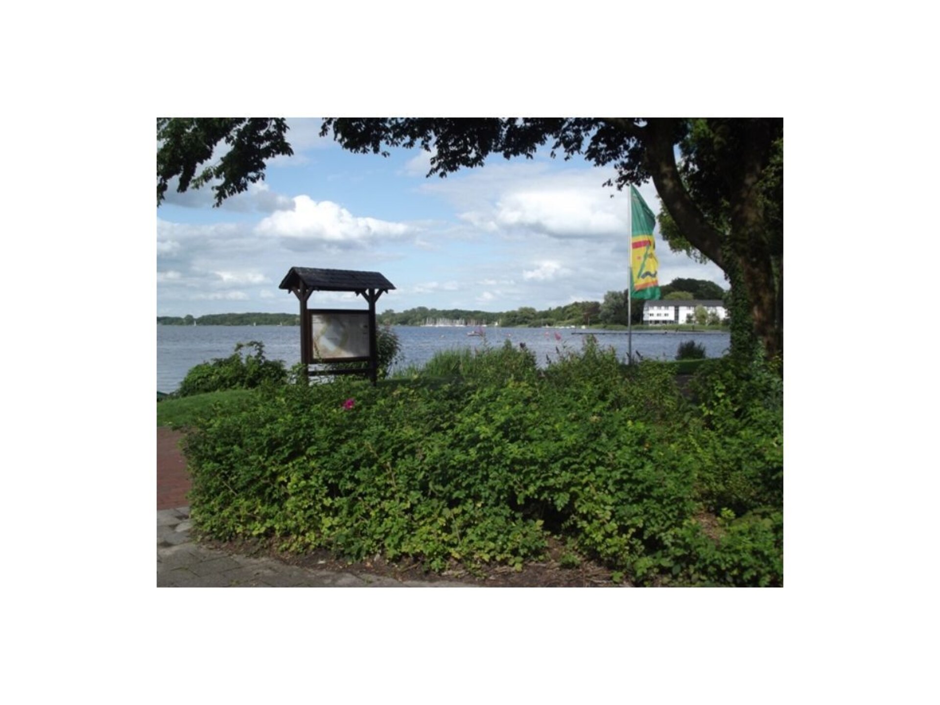 253623 - foto 23