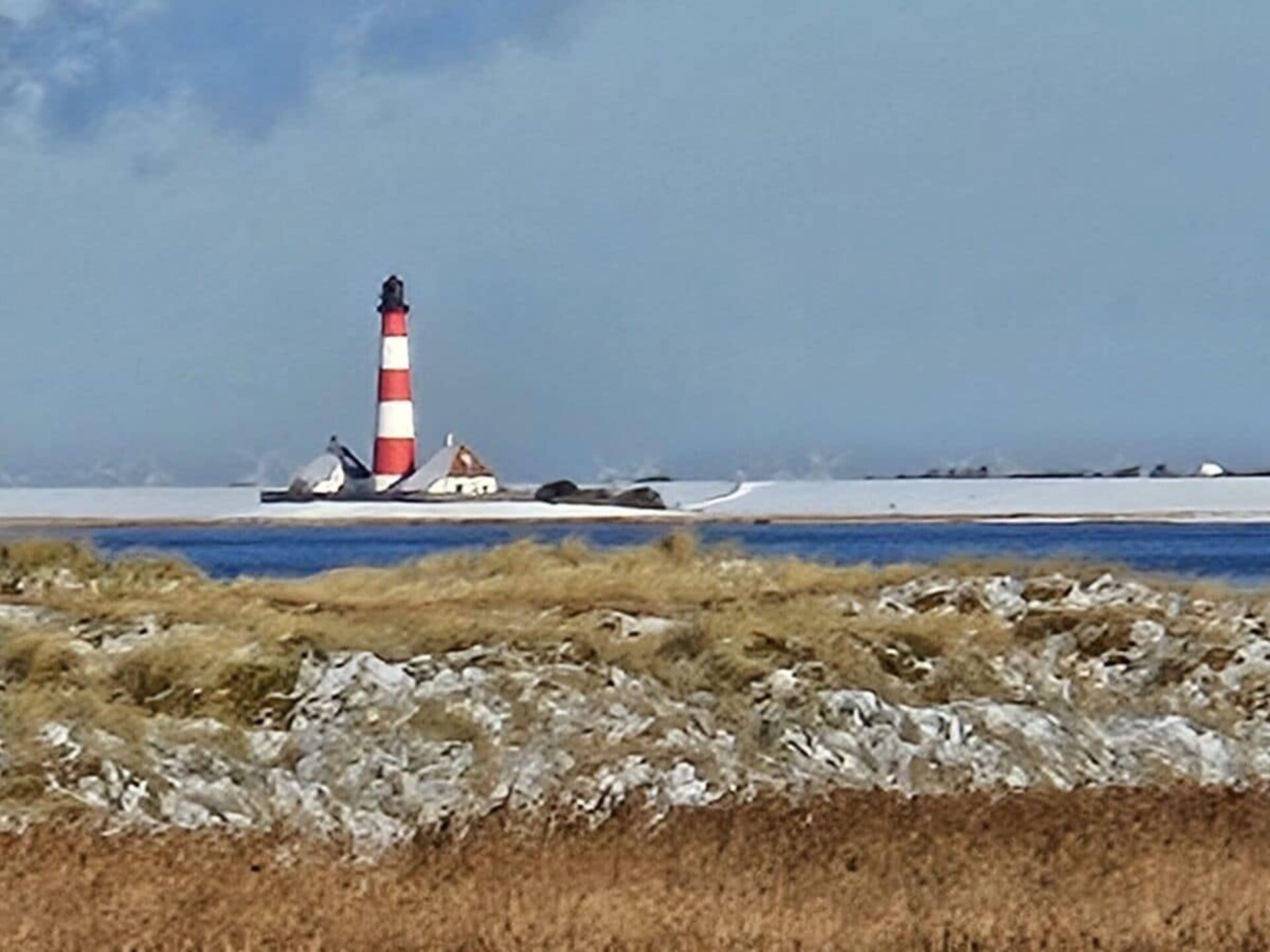 237545 - foto 39