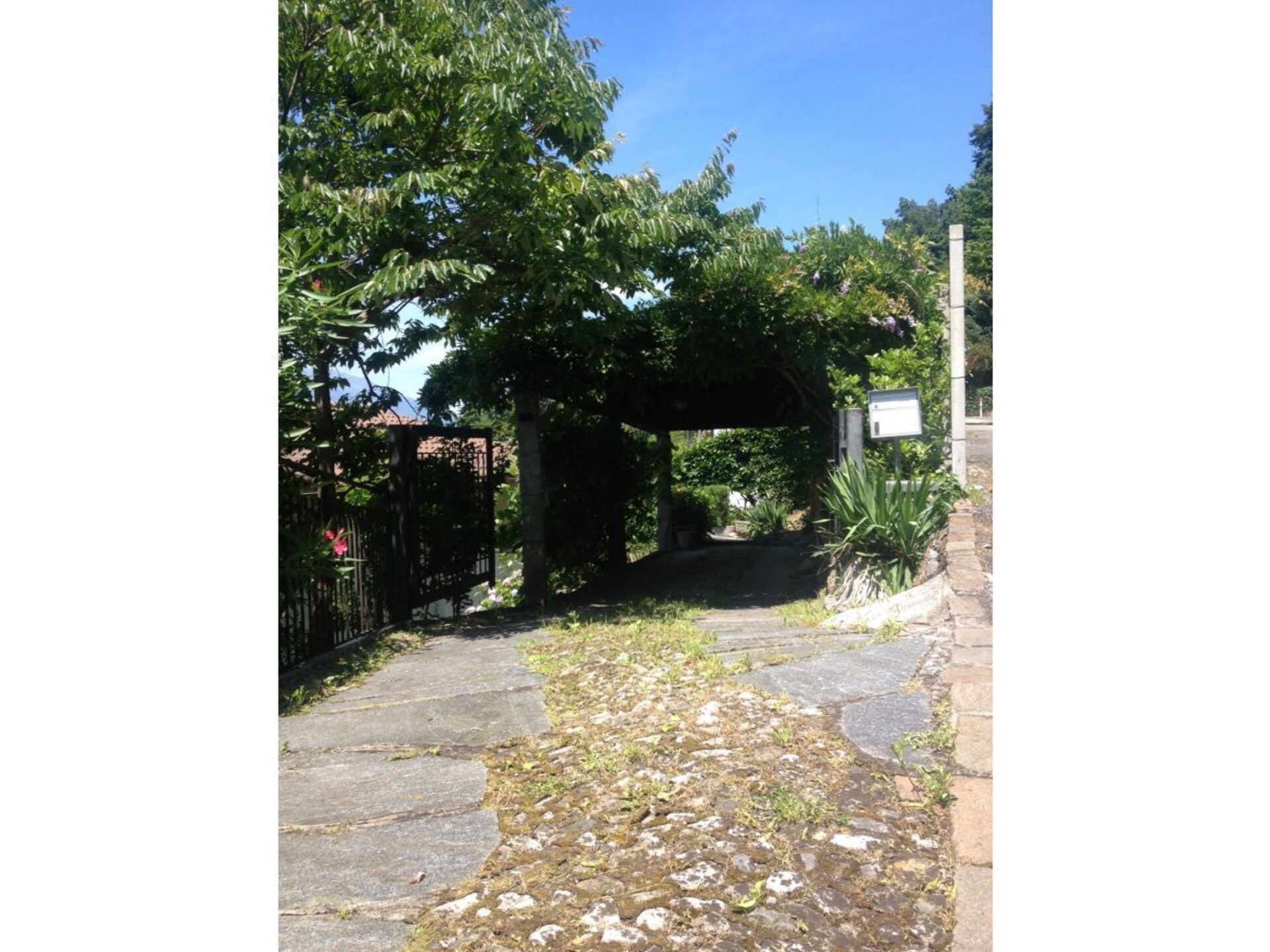 169082 - foto 7