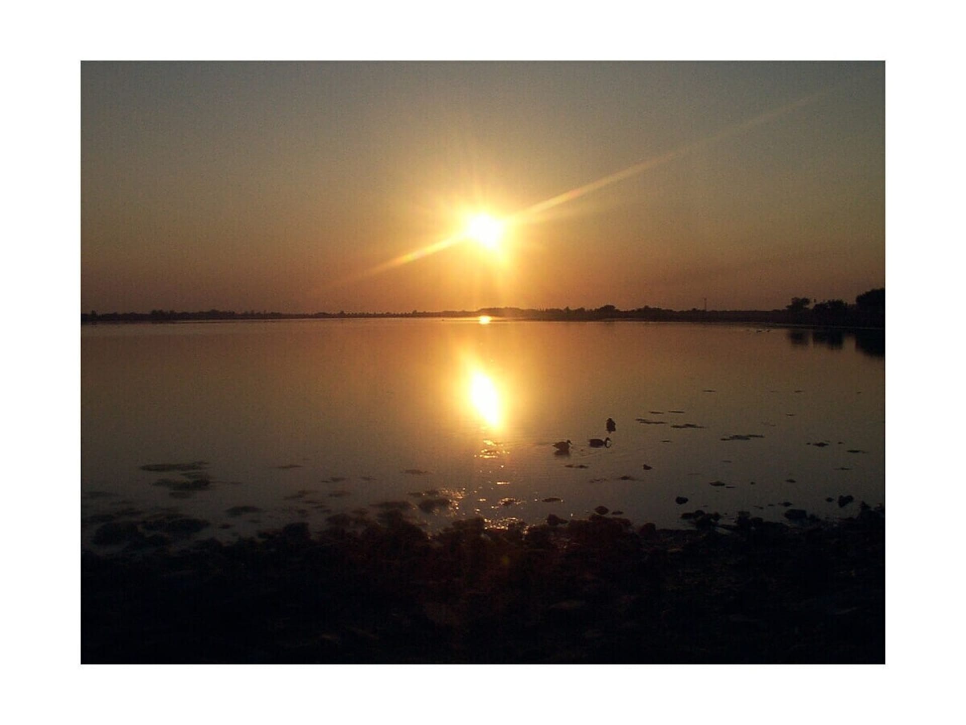 276965 - foto 16