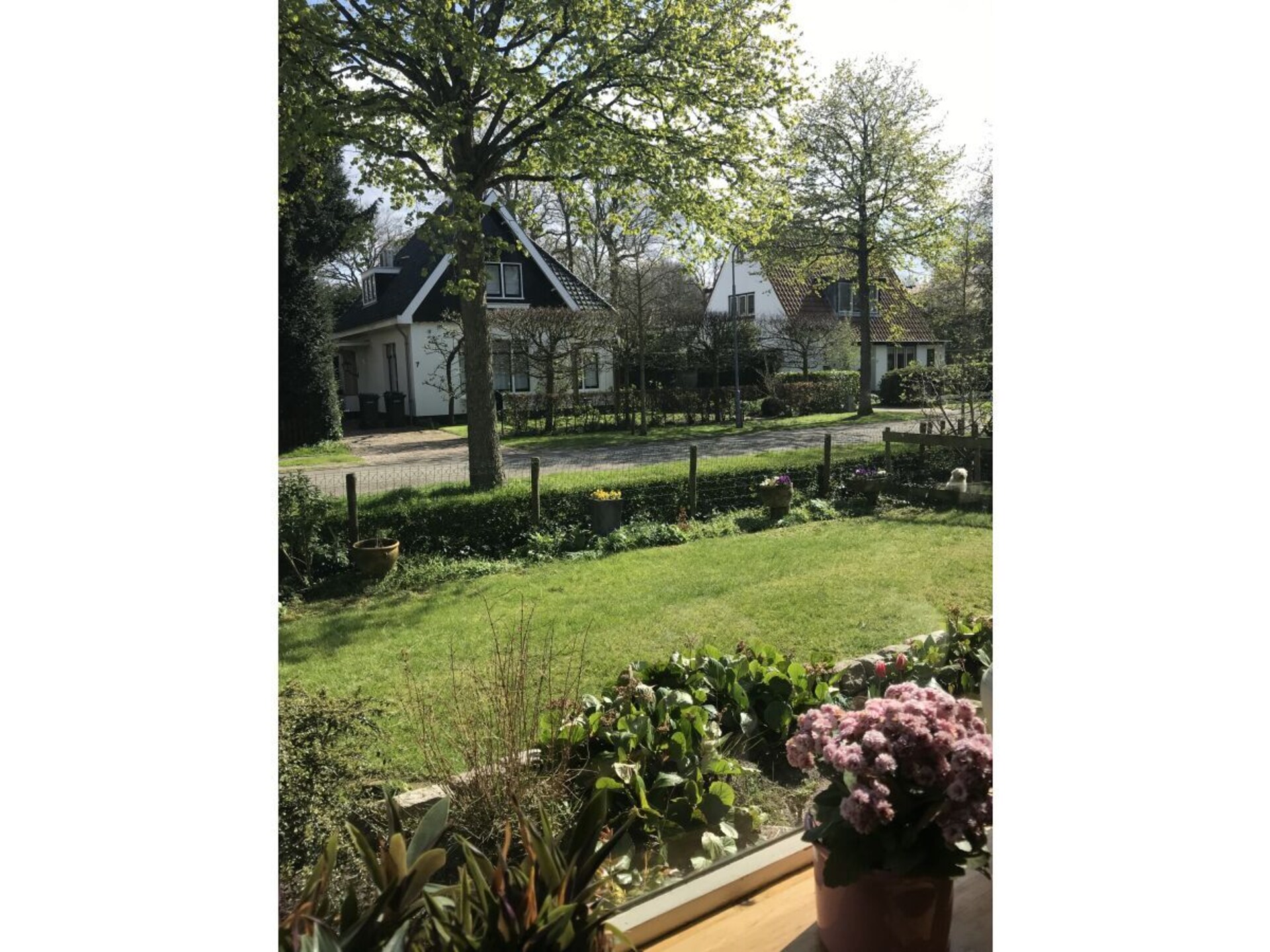 290582 - foto 3