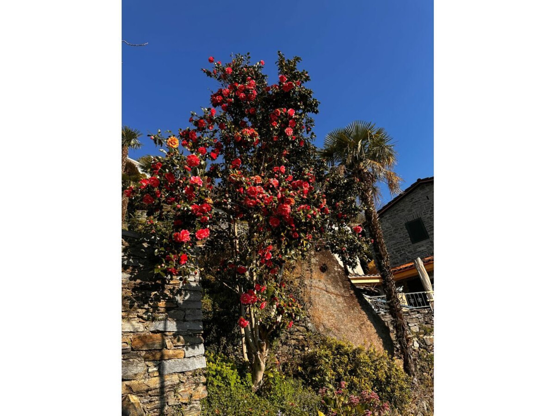 46639 - foto 29