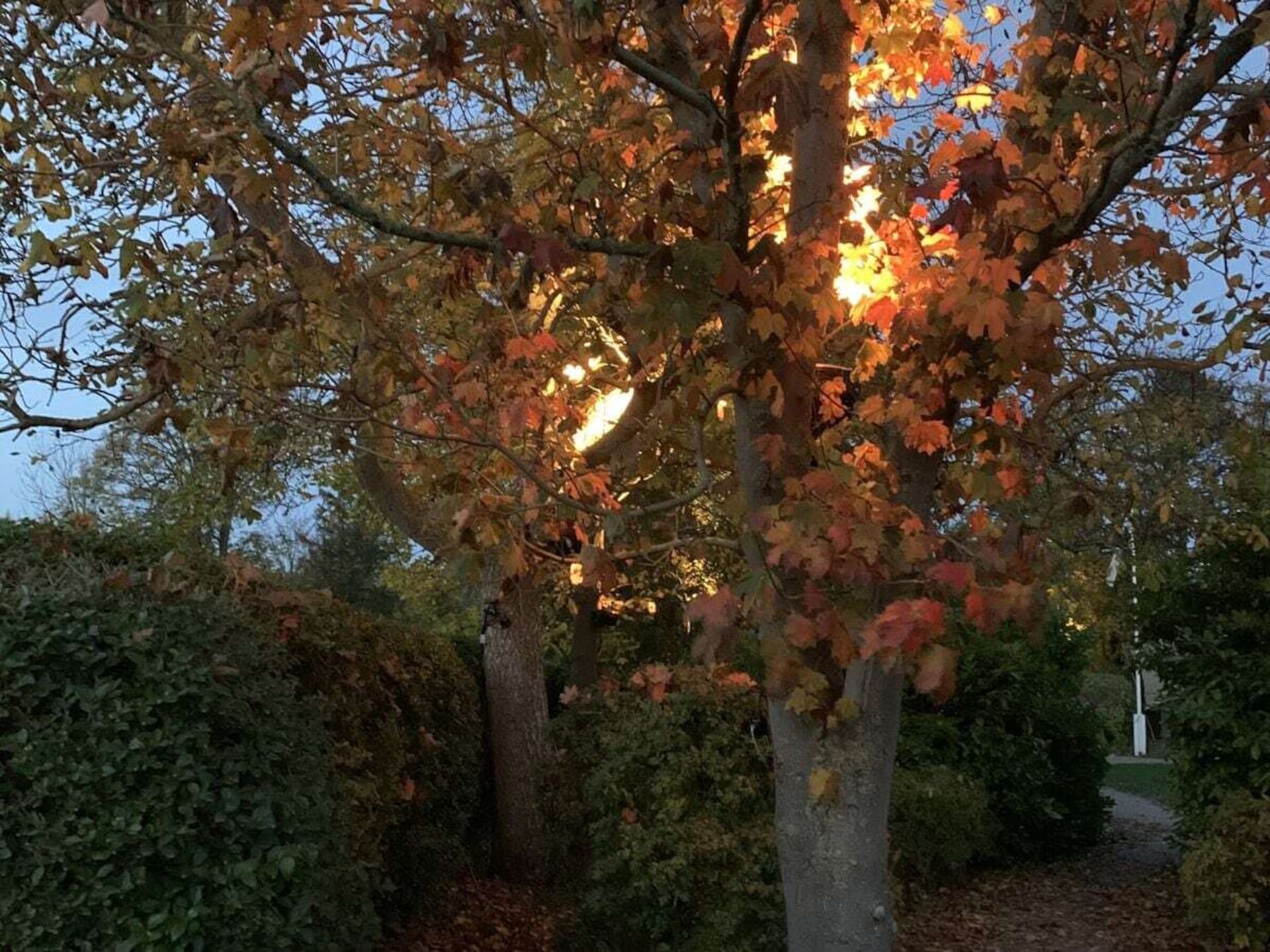 185537 - foto 31