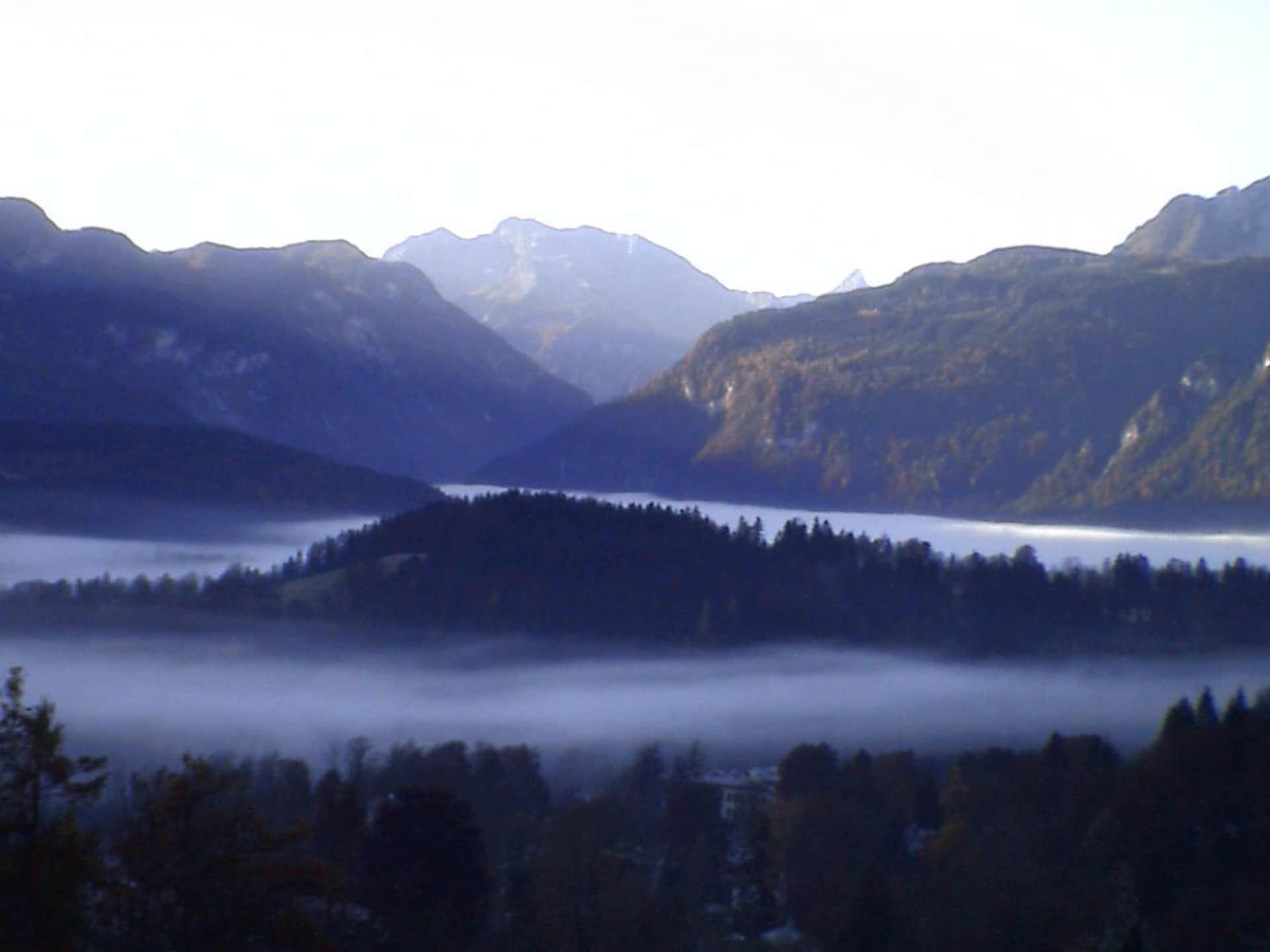 165982 - foto 22