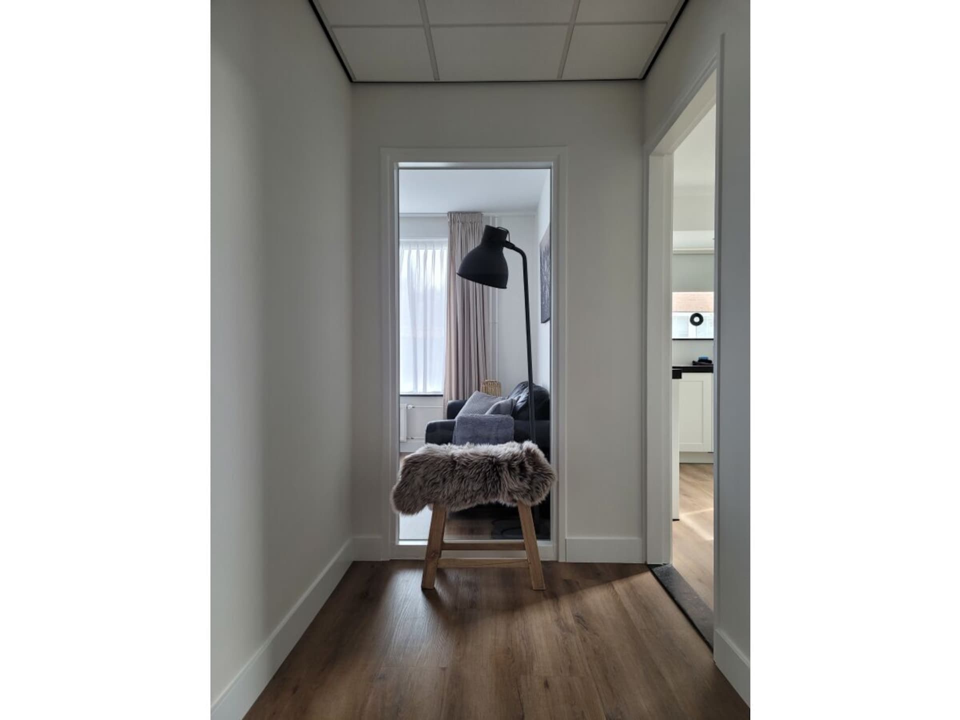 165100 - foto 16