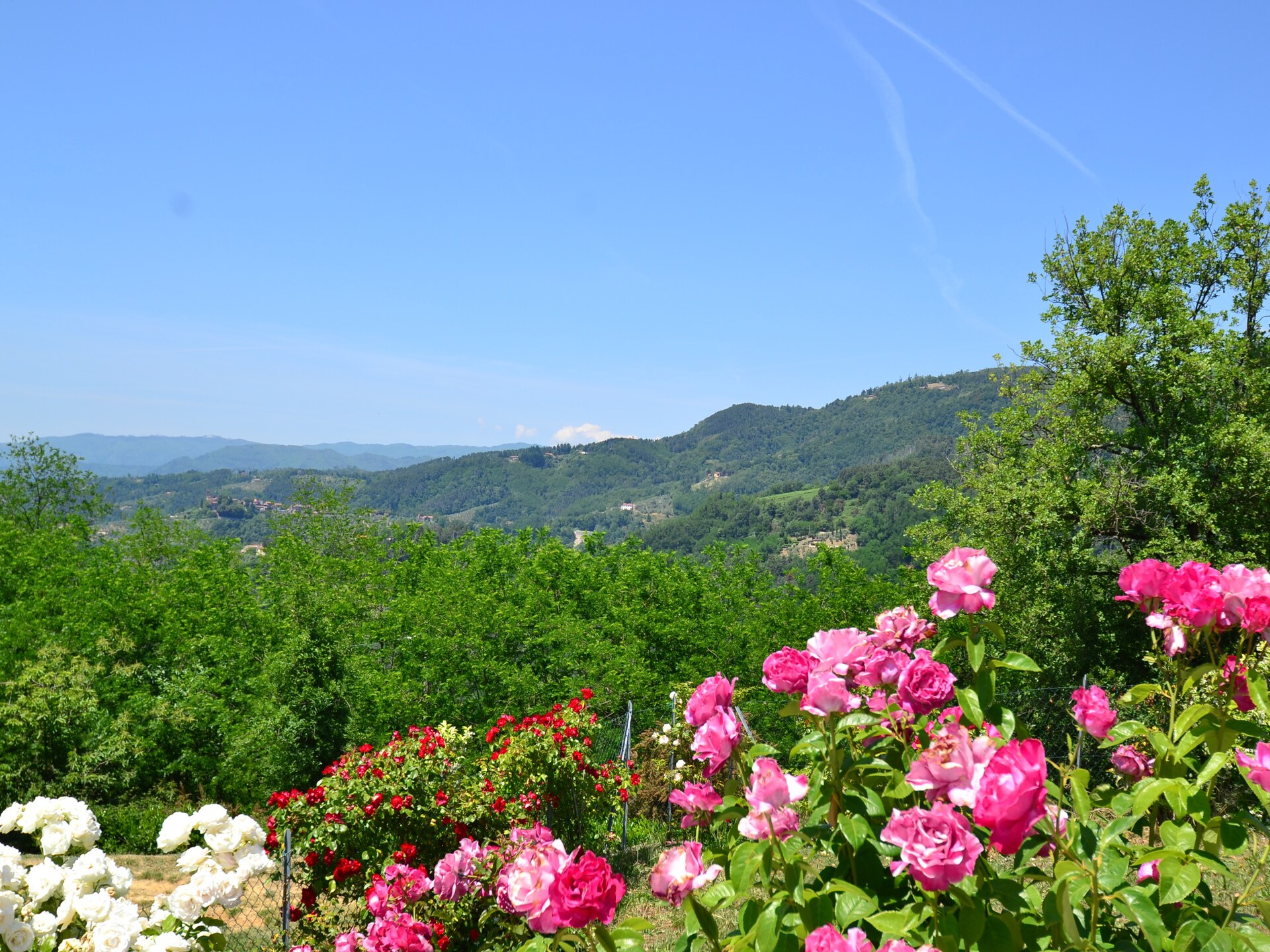Sfeervol landhuis Casa Rondò in Montecatini Terme - foto 19