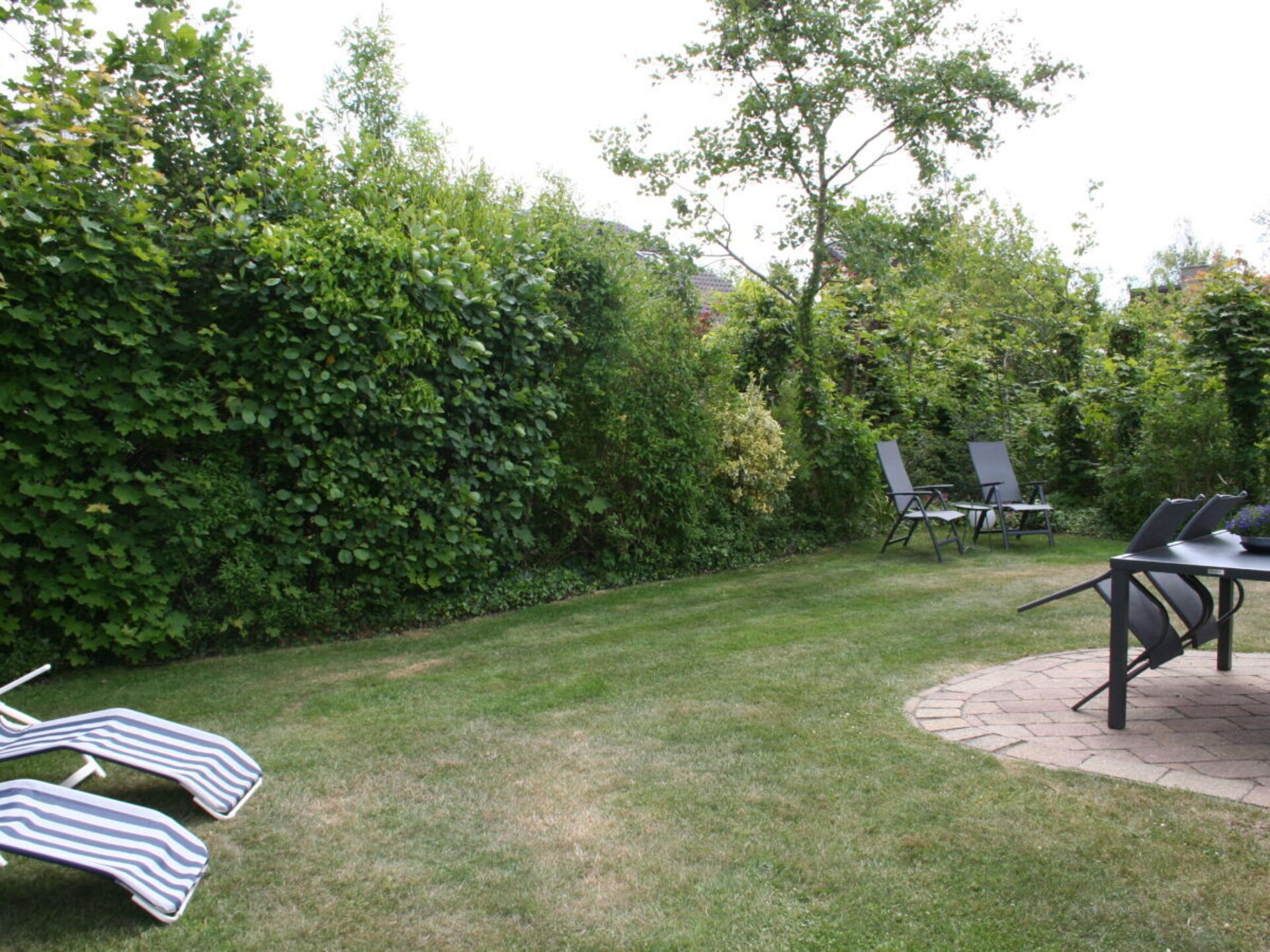 10737 - foto 10