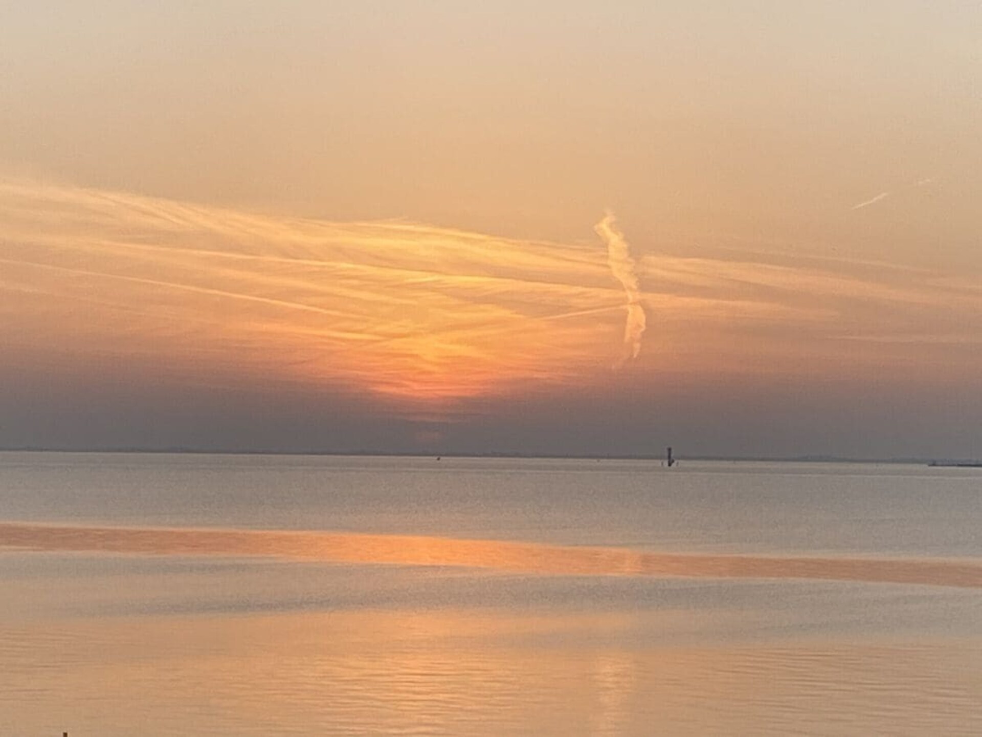 258009 - foto 7