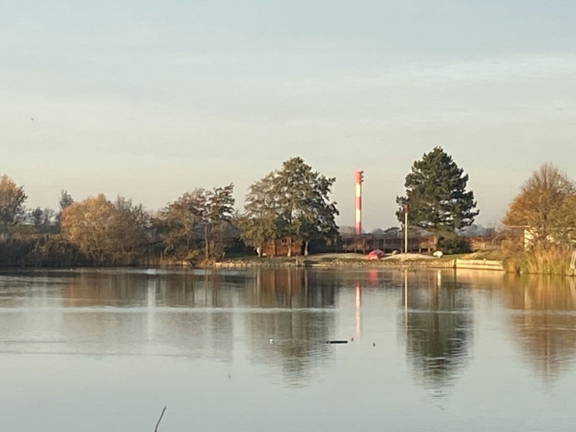 258009 - foto 11
