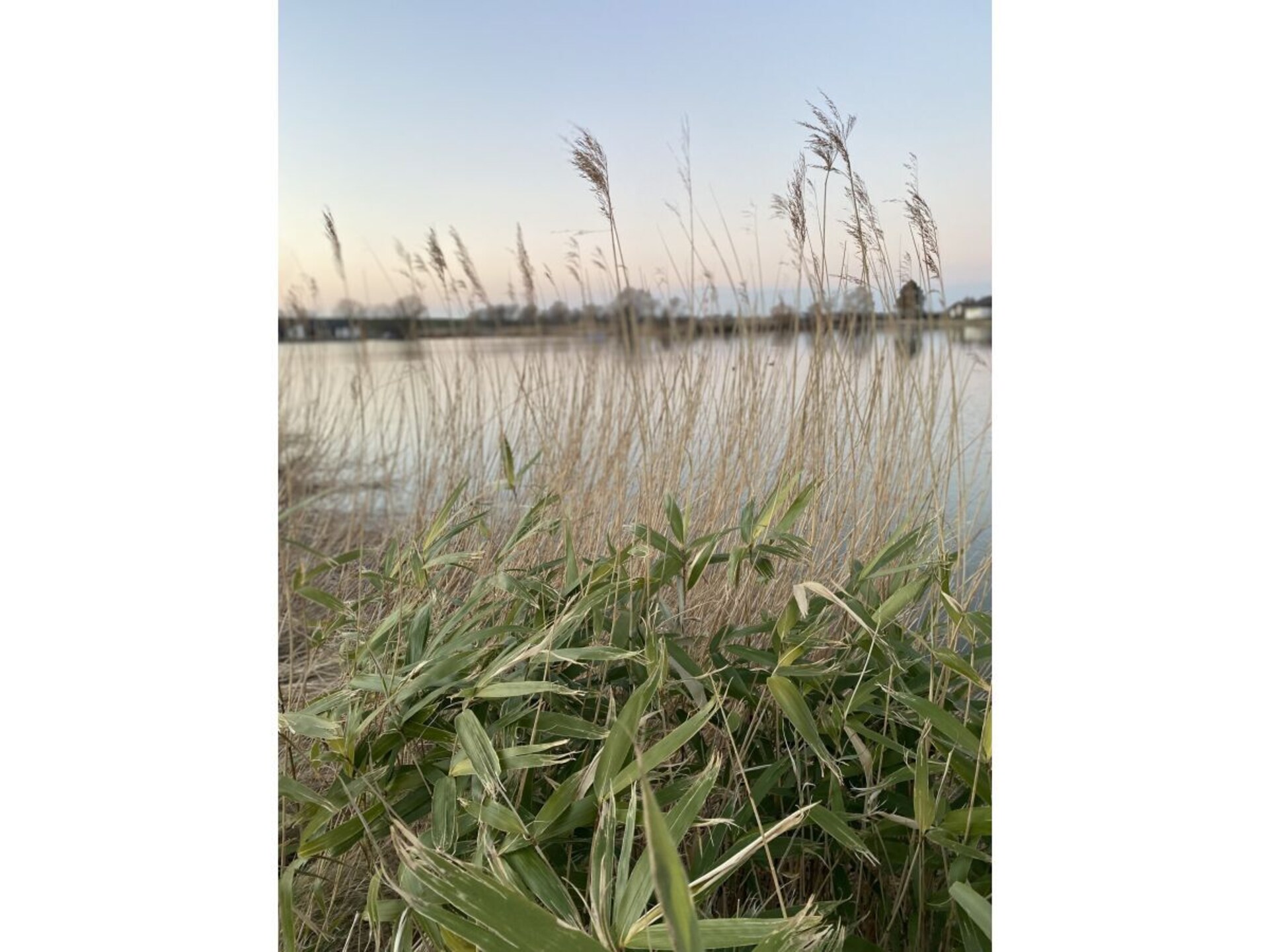 258009 - foto 15