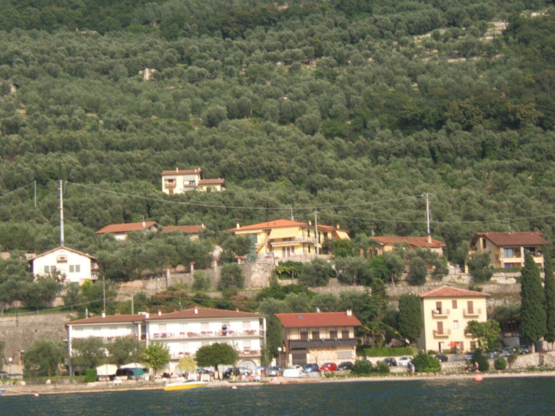 255428 - foto 22
