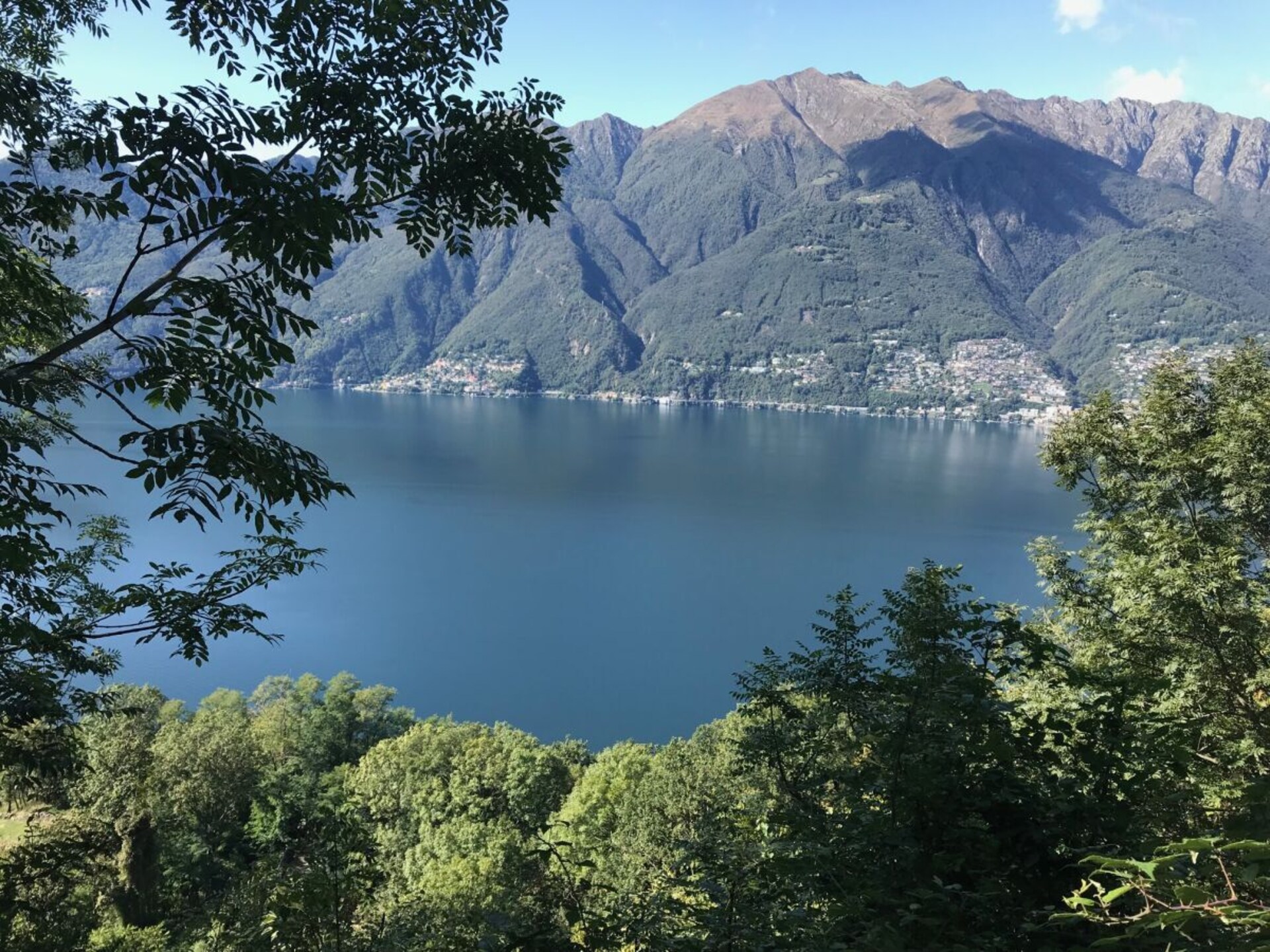 270351 - foto 18
