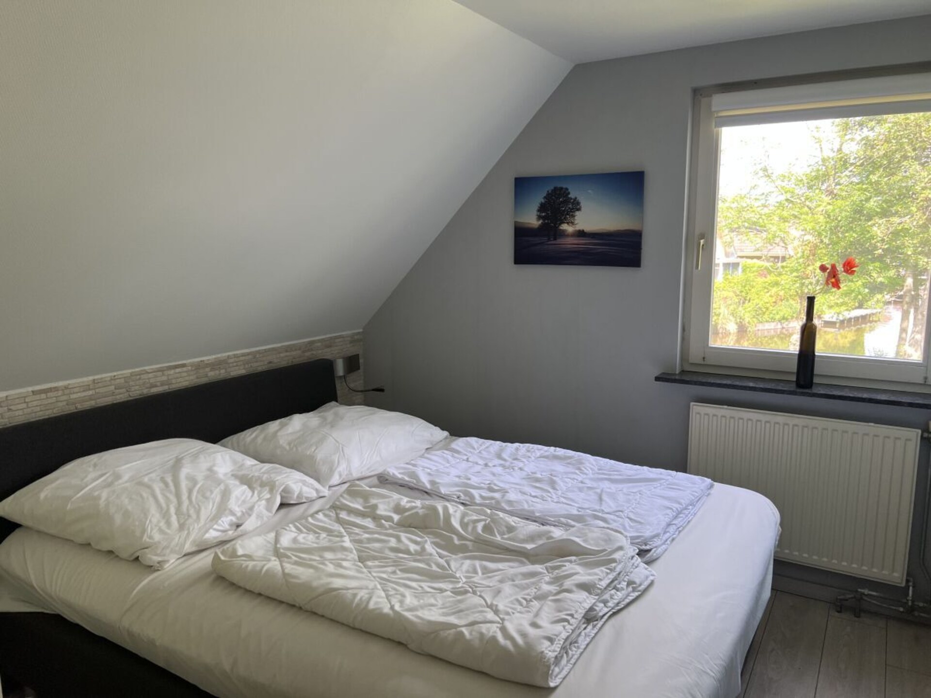 484579 - foto 14